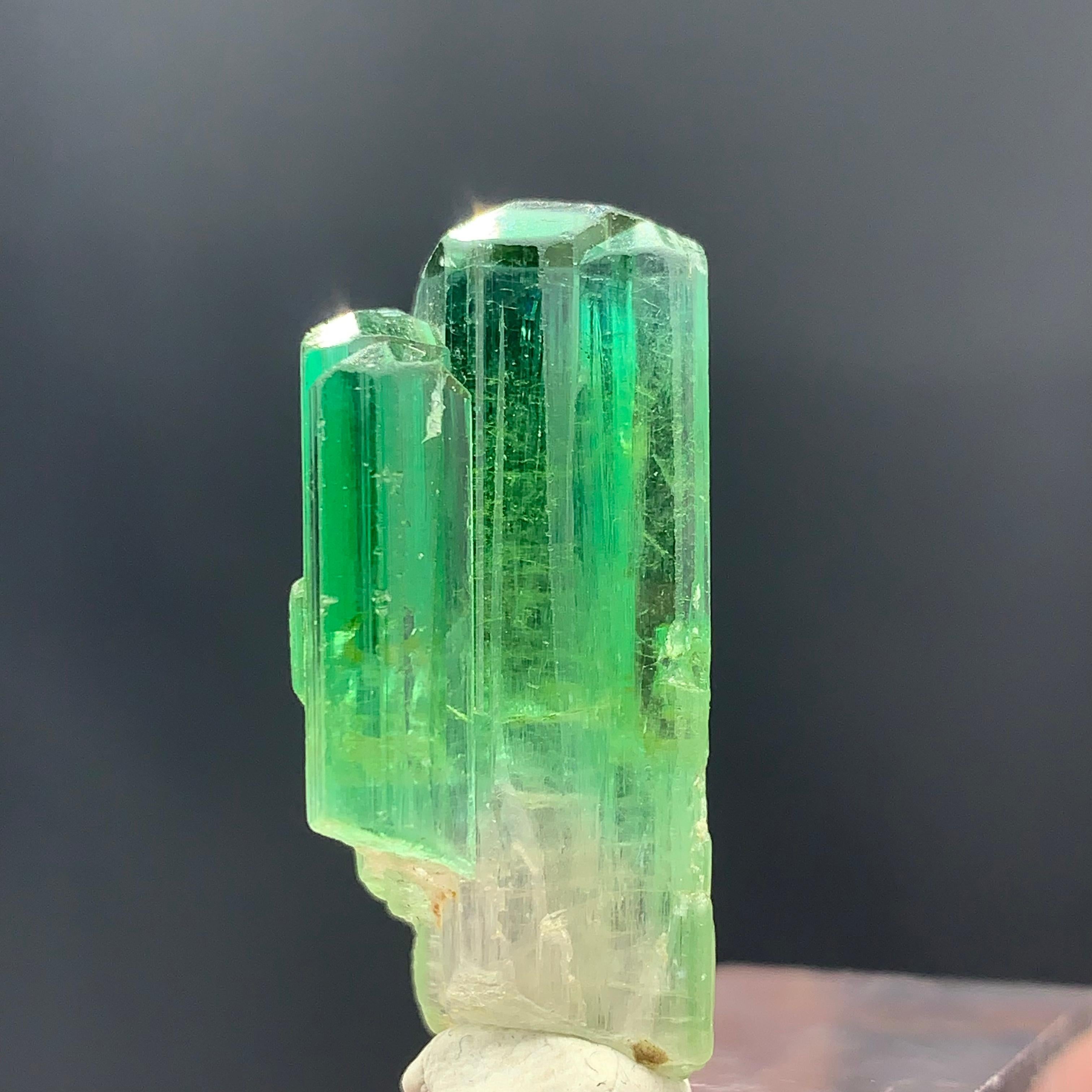 38.30 Carats Gorgeous Bi Color Tourmaline Crystal From Afghanistan  For Sale 4