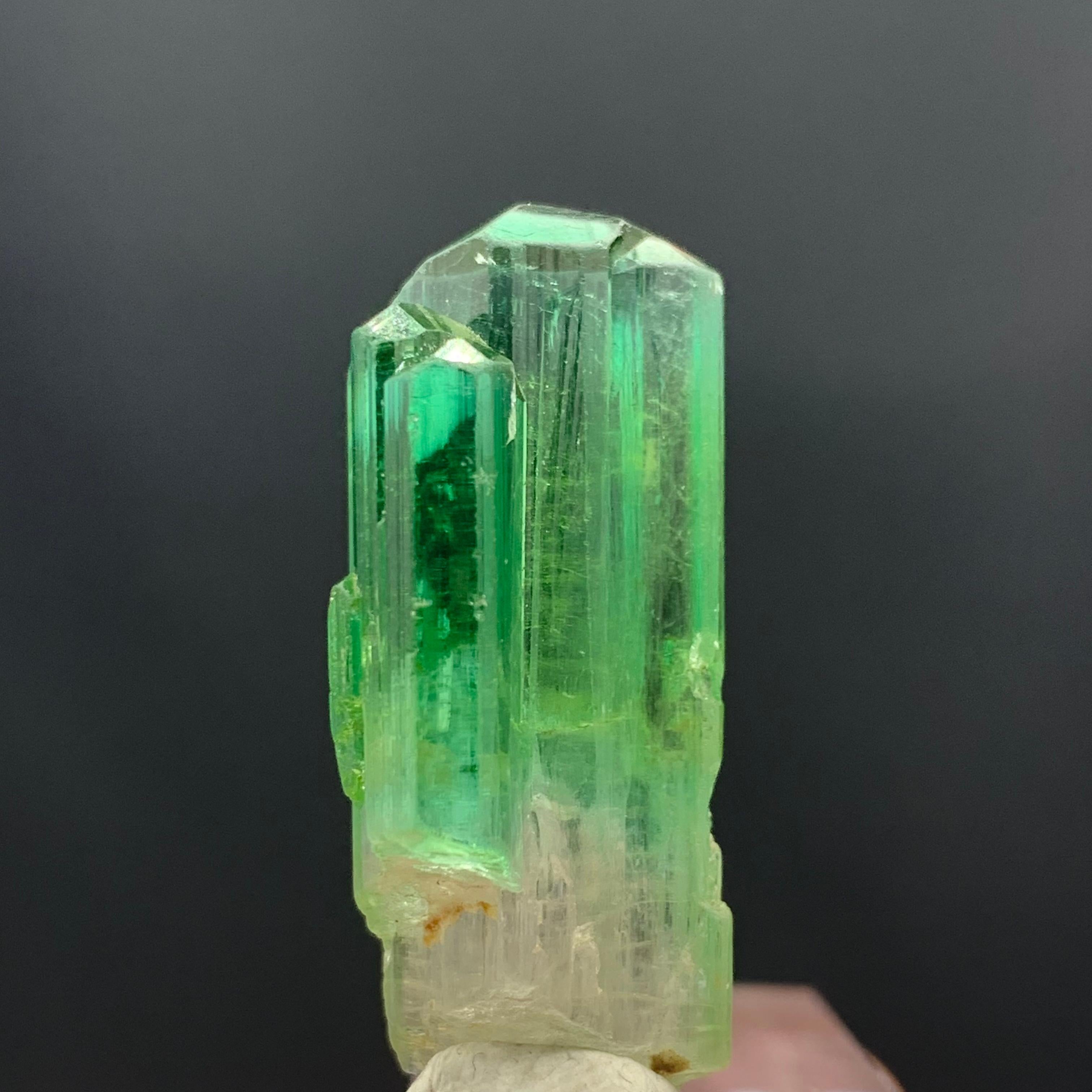 38.30 Carats Gorgeous Bi Color Tourmaline Crystal From Afghanistan  For Sale 5