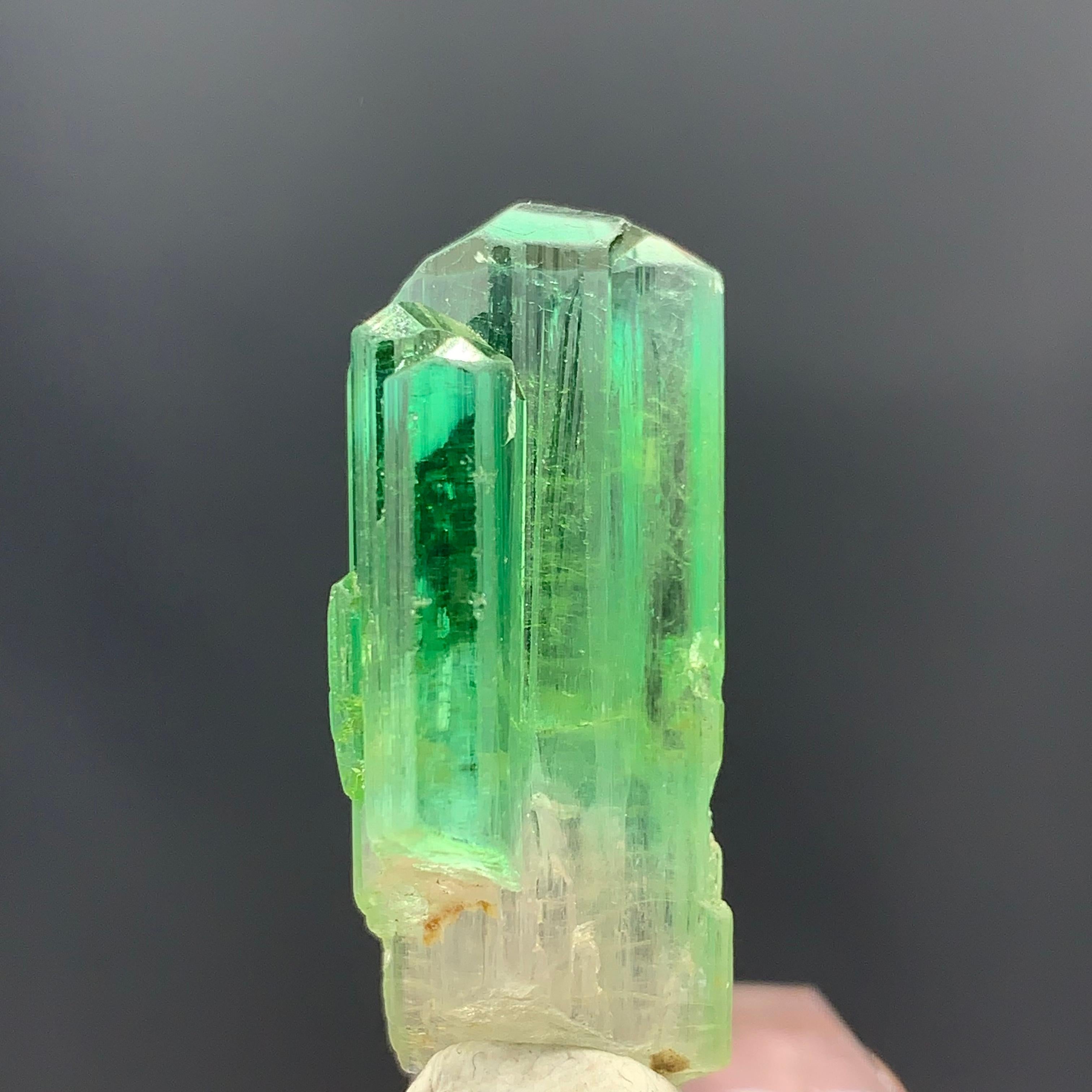 38.30 Carats Gorgeous Bi Color Tourmaline Crystal From Afghanistan  For Sale 6