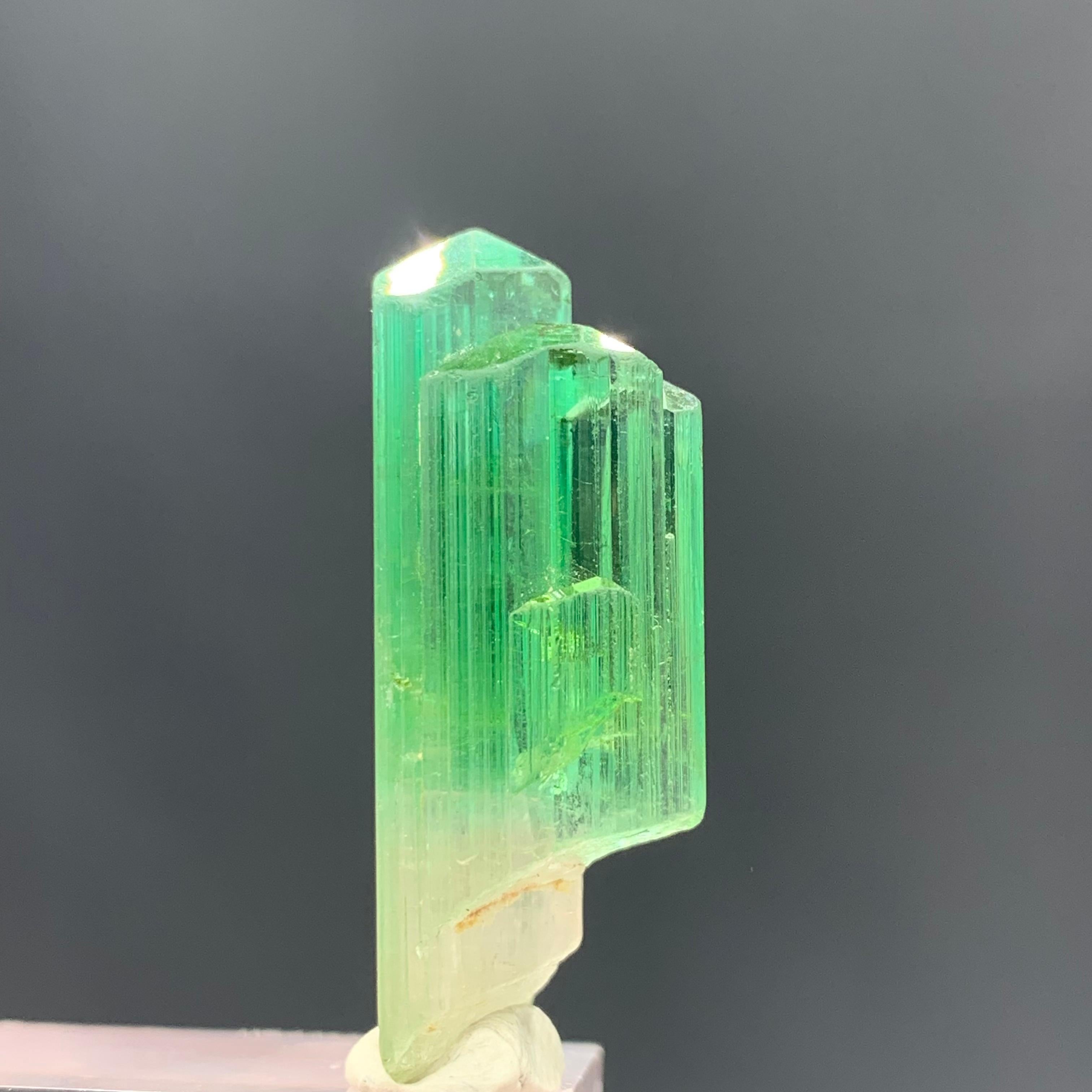 38.30 Carats Gorgeous Bi Color Tourmaline Crystal From Afghanistan  For Sale 7