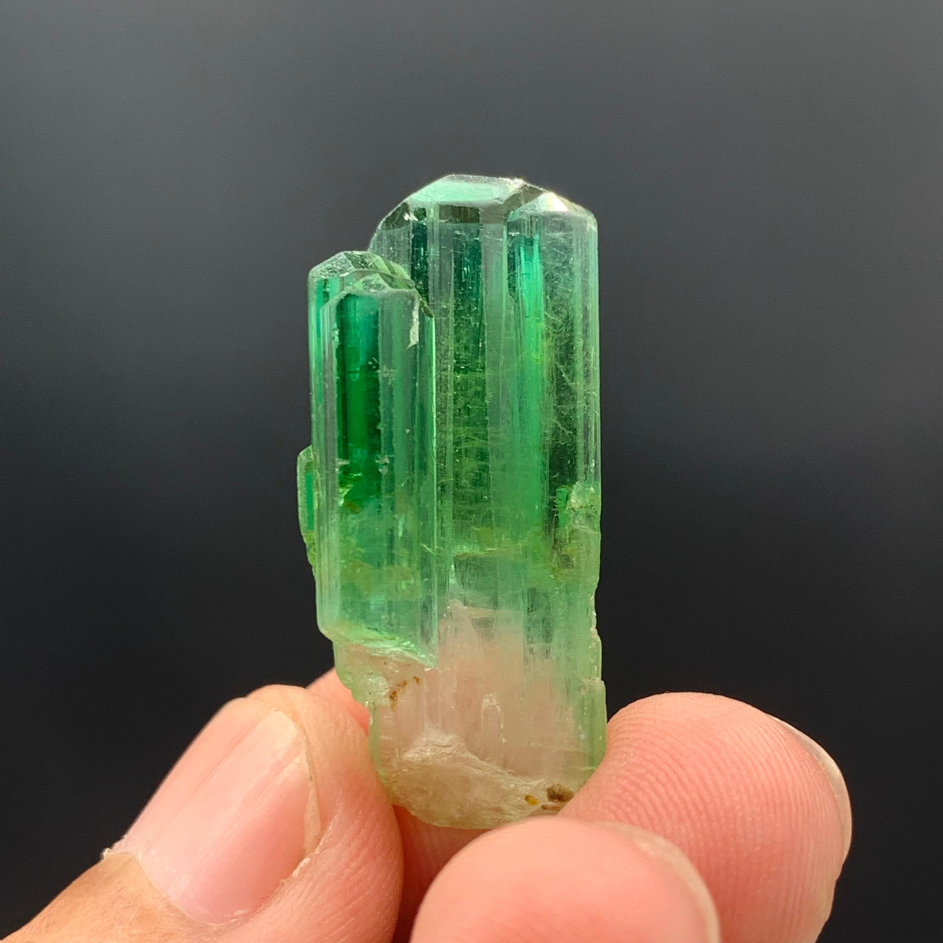 38.30 Carats Gorgeous Bi Color Tourmaline Crystal From Afghanistan  For Sale 8