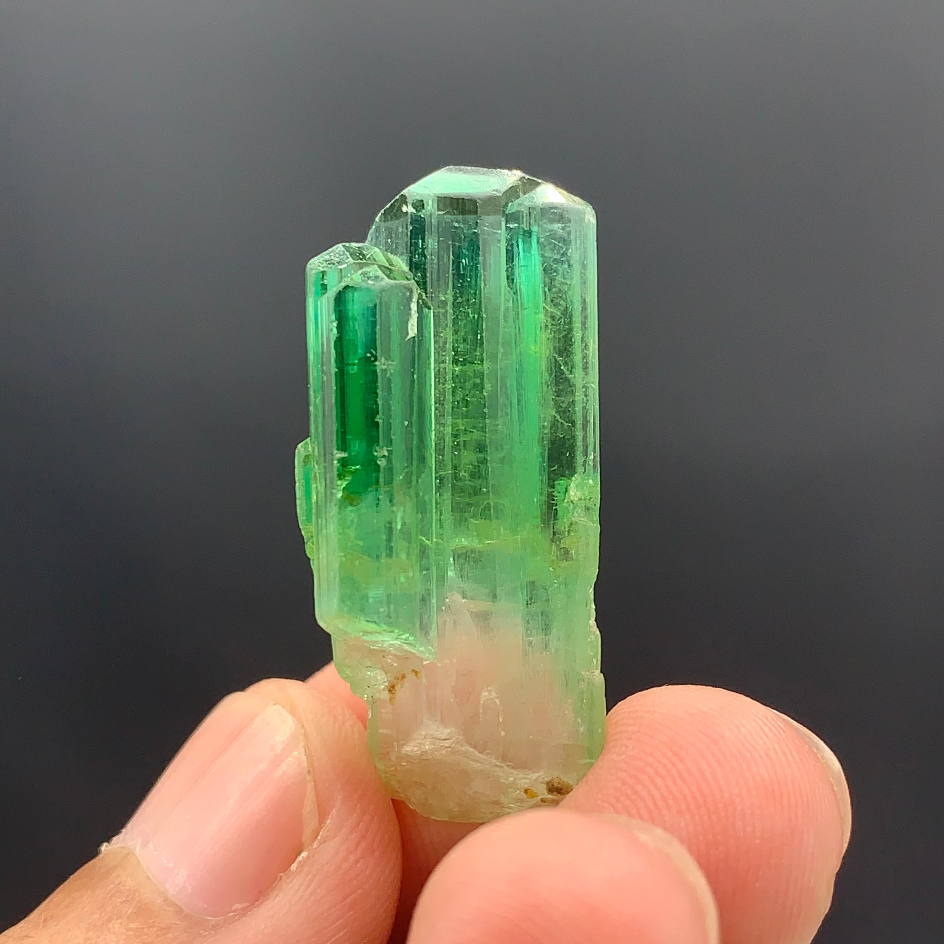 38.30 Carats Gorgeous Bi Color Tourmaline Crystal From Afghanistan  For Sale 9