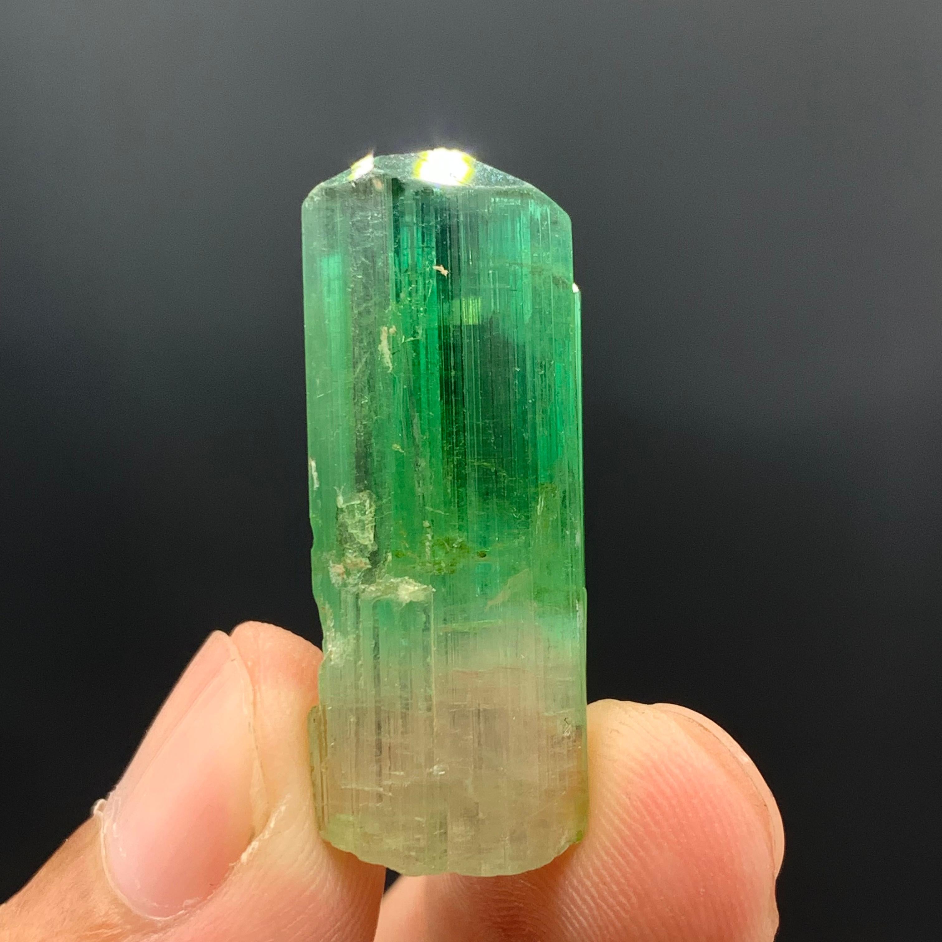 38.30 Carats Gorgeous Bi Color Tourmaline Crystal From Afghanistan  For Sale 10
