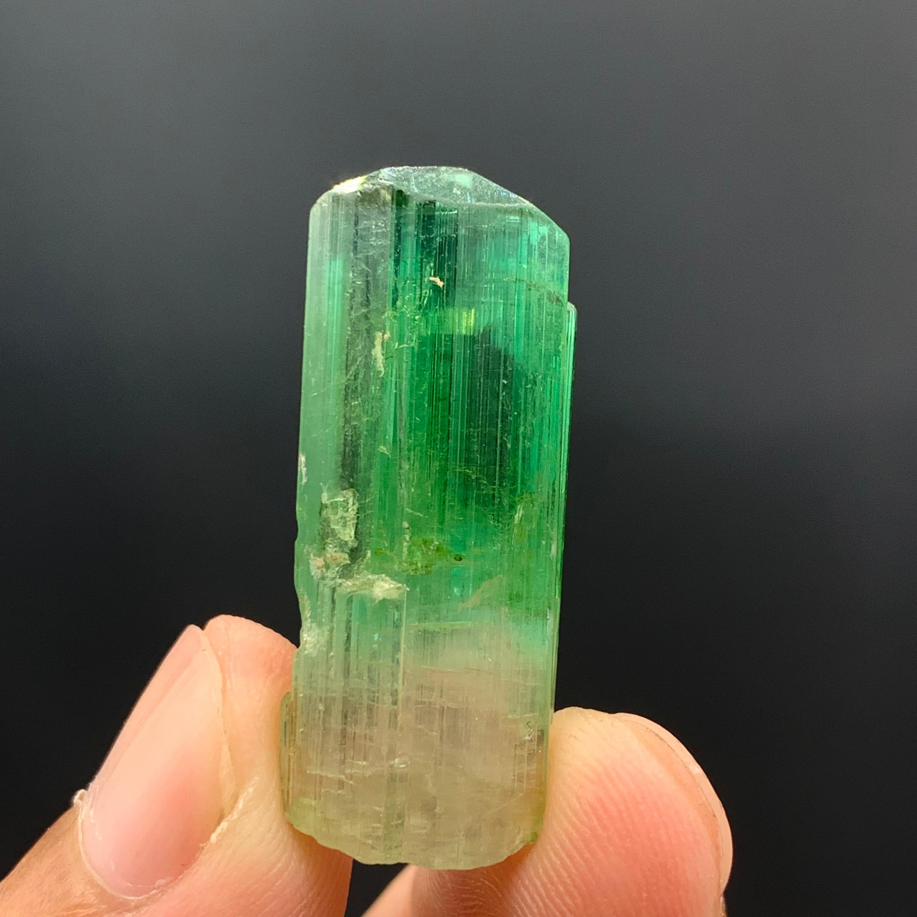 38.30 Carats Gorgeous Bi Color Tourmaline Crystal From Afghanistan  For Sale 12