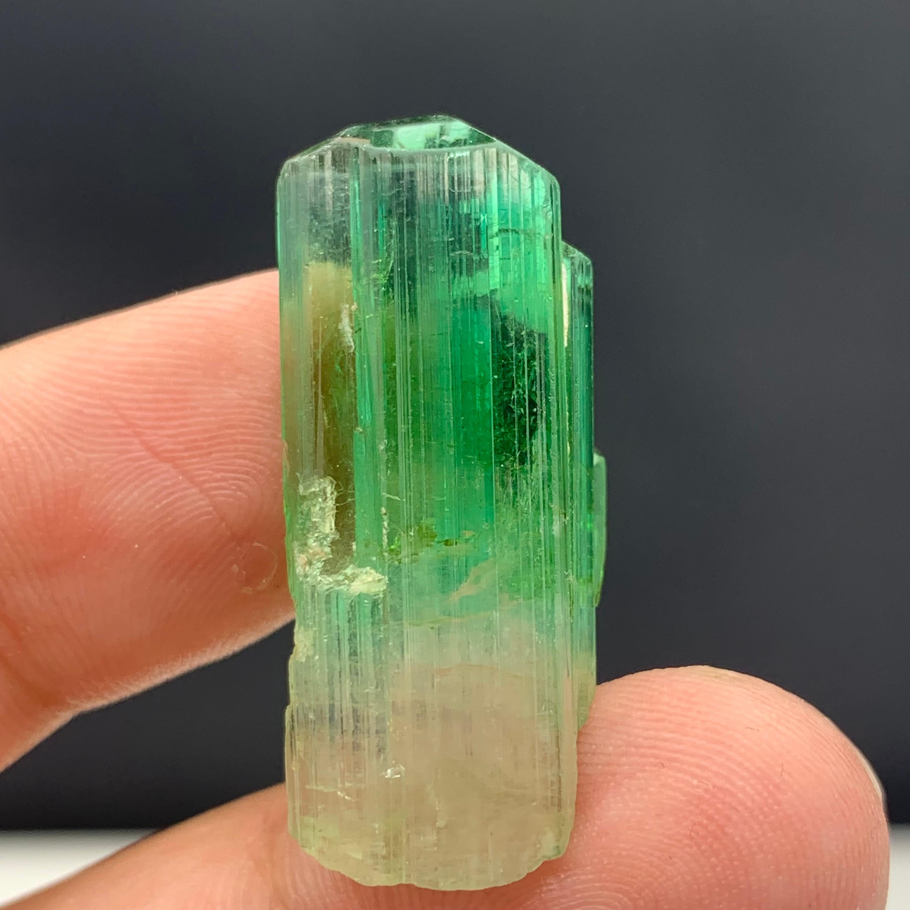 Gorgeous Bi Color Tourmaline Crystal From Afghanistan 
Weight: 38.30 Carat 
Dimension: 3.3 x 1.3 x 1.2 Cm 
Origin: Afghanistan 

Tourmaline is a crystalline silicate mineral group in which boron is compounded with elements such as aluminium, iron,