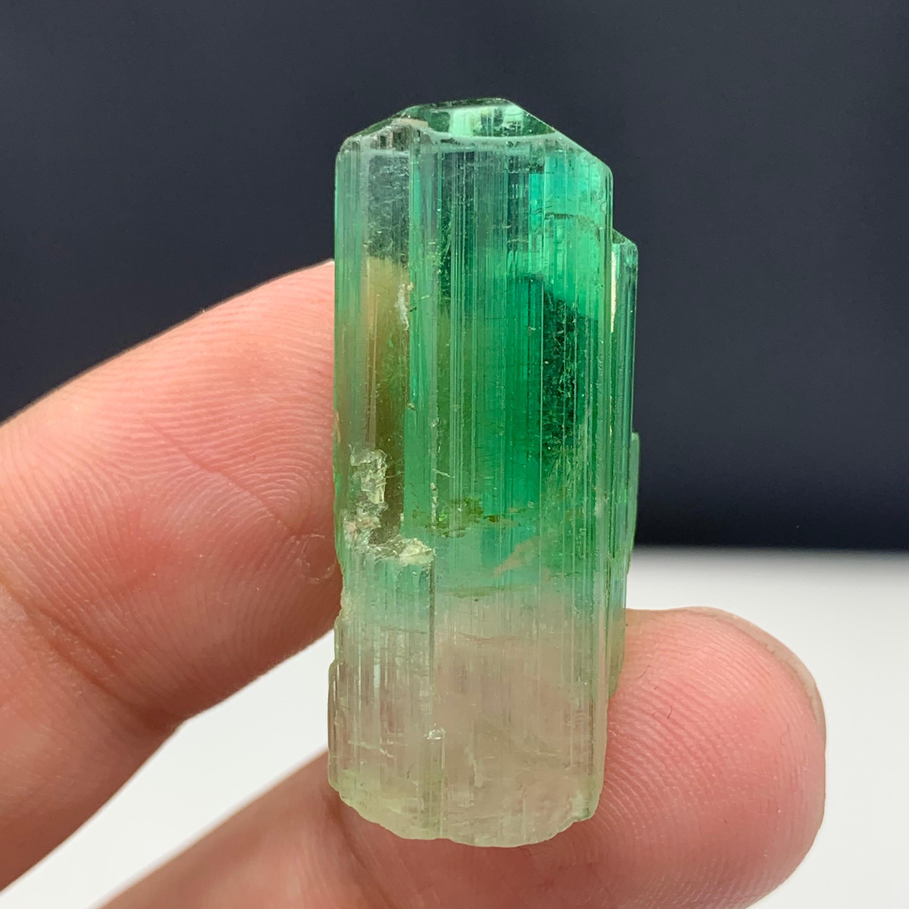 Adam Style 38.30 Carats Gorgeous Bi Color Tourmaline Crystal From Afghanistan  For Sale