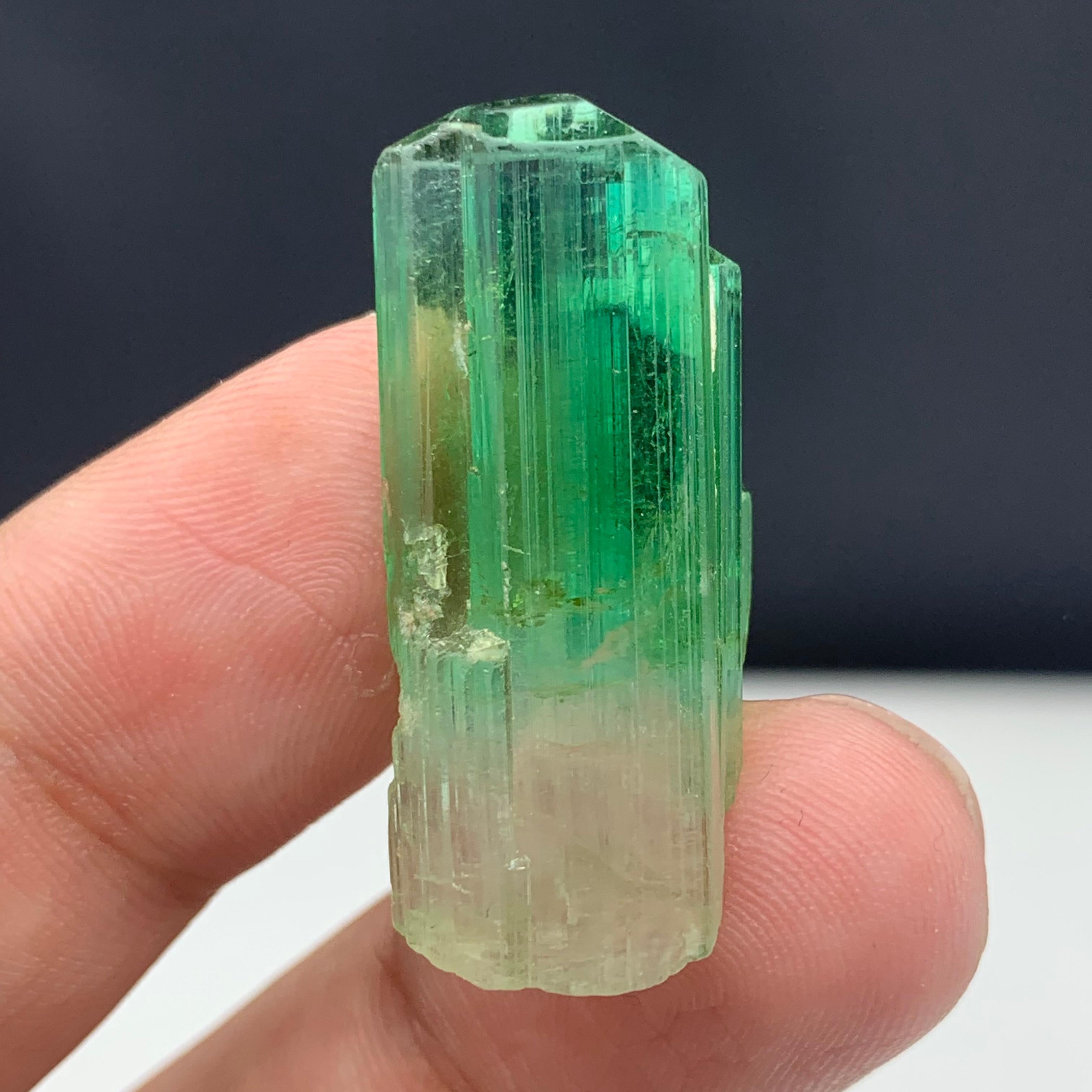 Other 38.30 Carats Gorgeous Bi Color Tourmaline Crystal From Afghanistan  For Sale