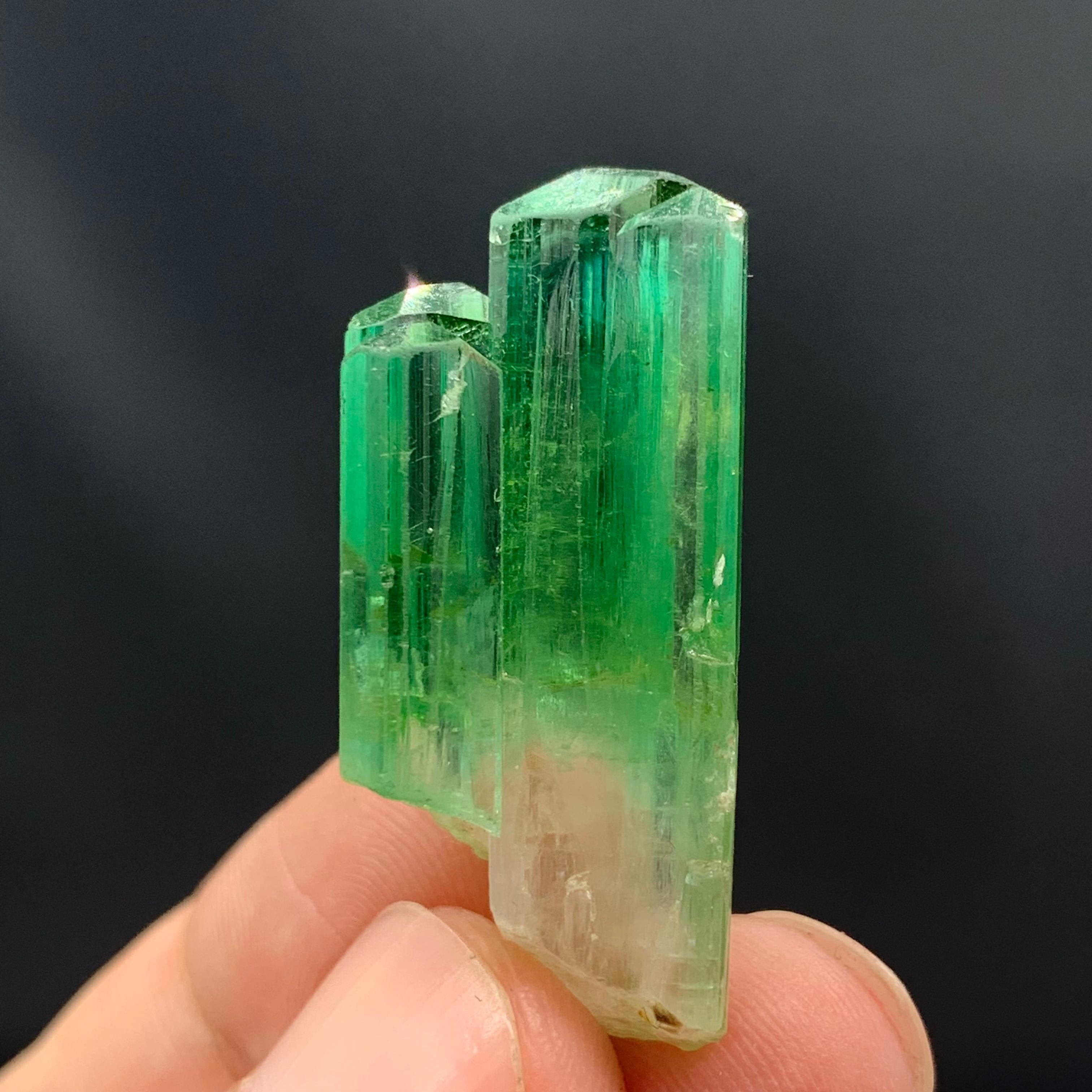 38.30 Carats Gorgeous Bi Color Tourmaline Crystal From Afghanistan  In Good Condition For Sale In Peshawar, PK