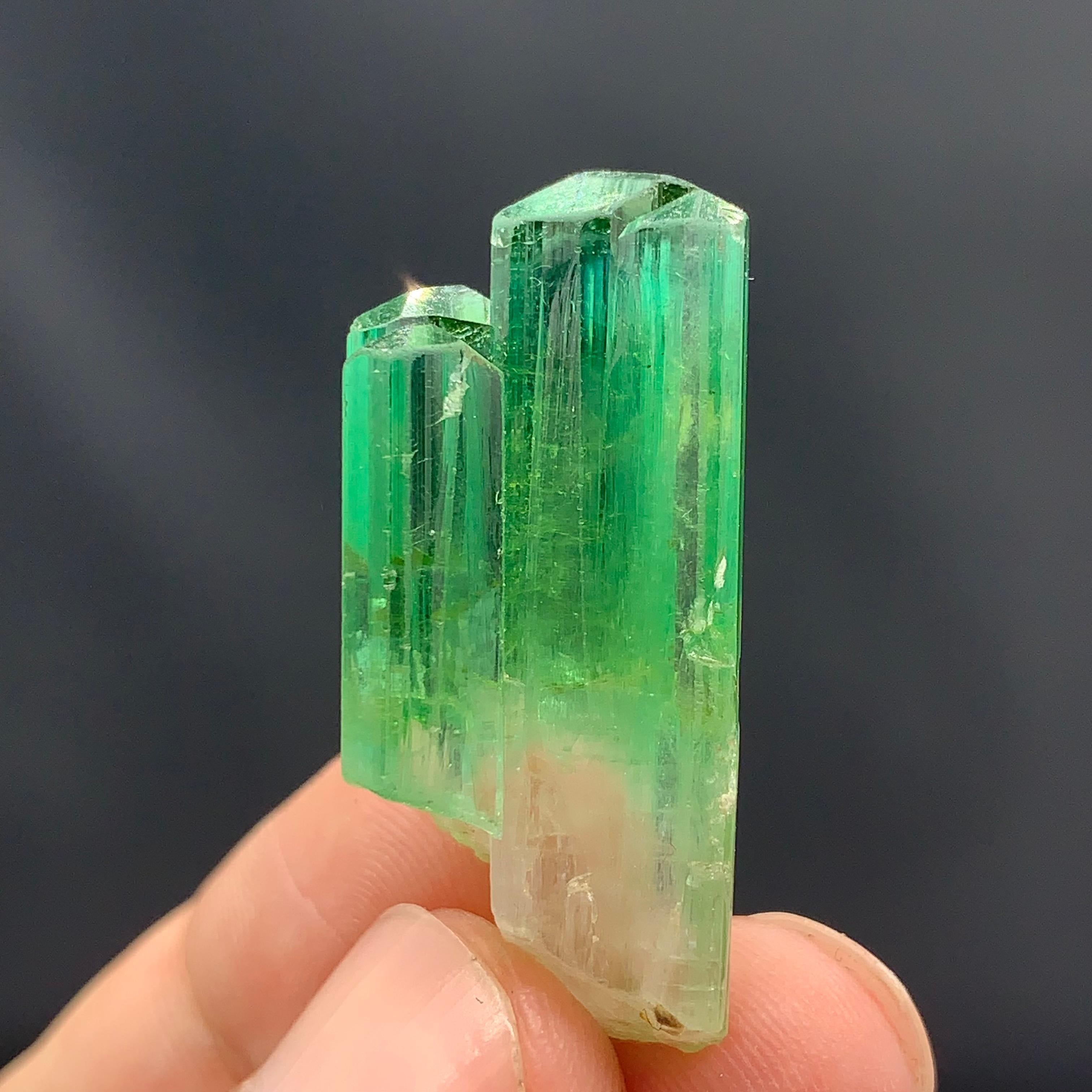 18th Century and Earlier 38.30 Carats Gorgeous Bi Color Tourmaline Crystal From Afghanistan  For Sale