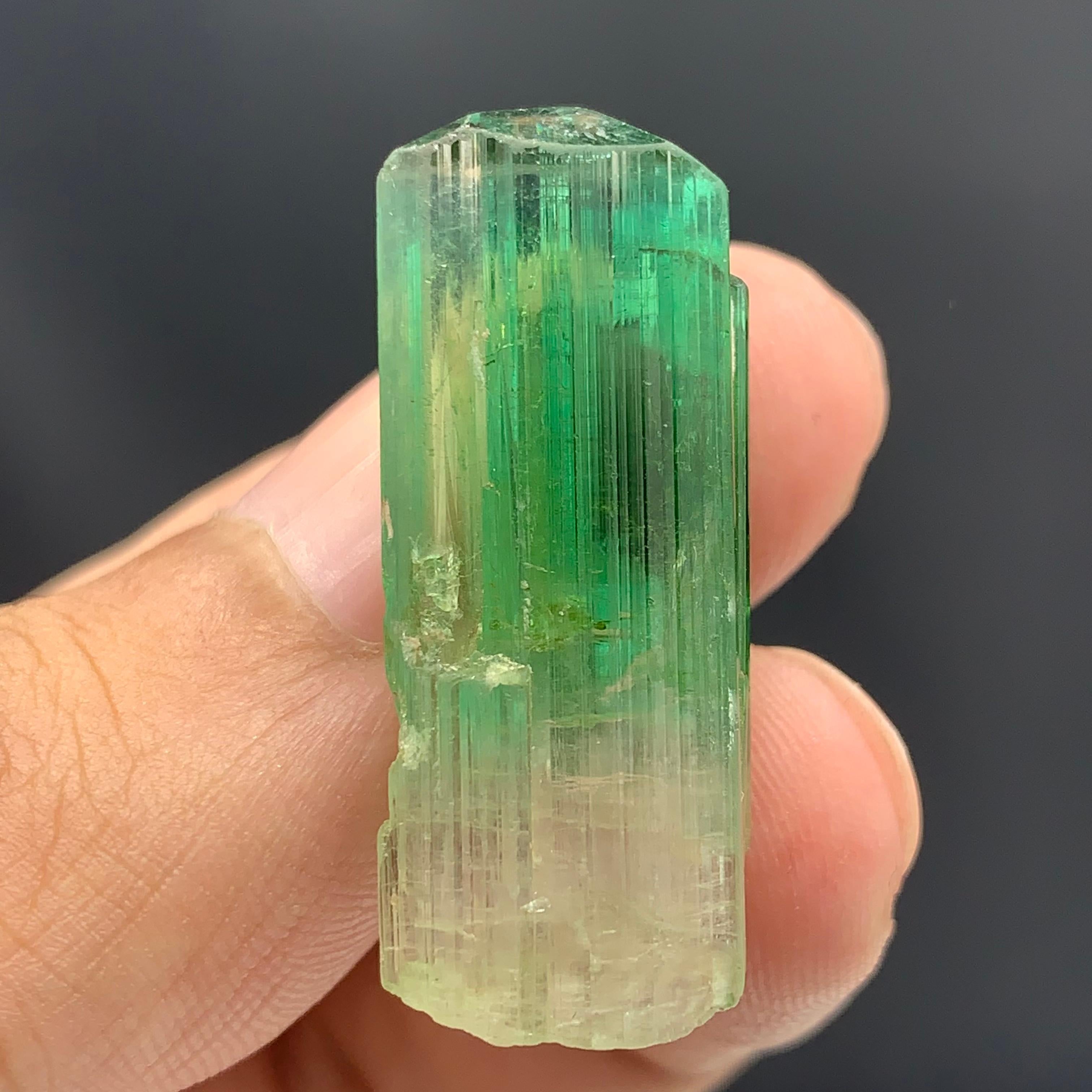 Rock Crystal 38.30 Carats Gorgeous Bi Color Tourmaline Crystal From Afghanistan  For Sale
