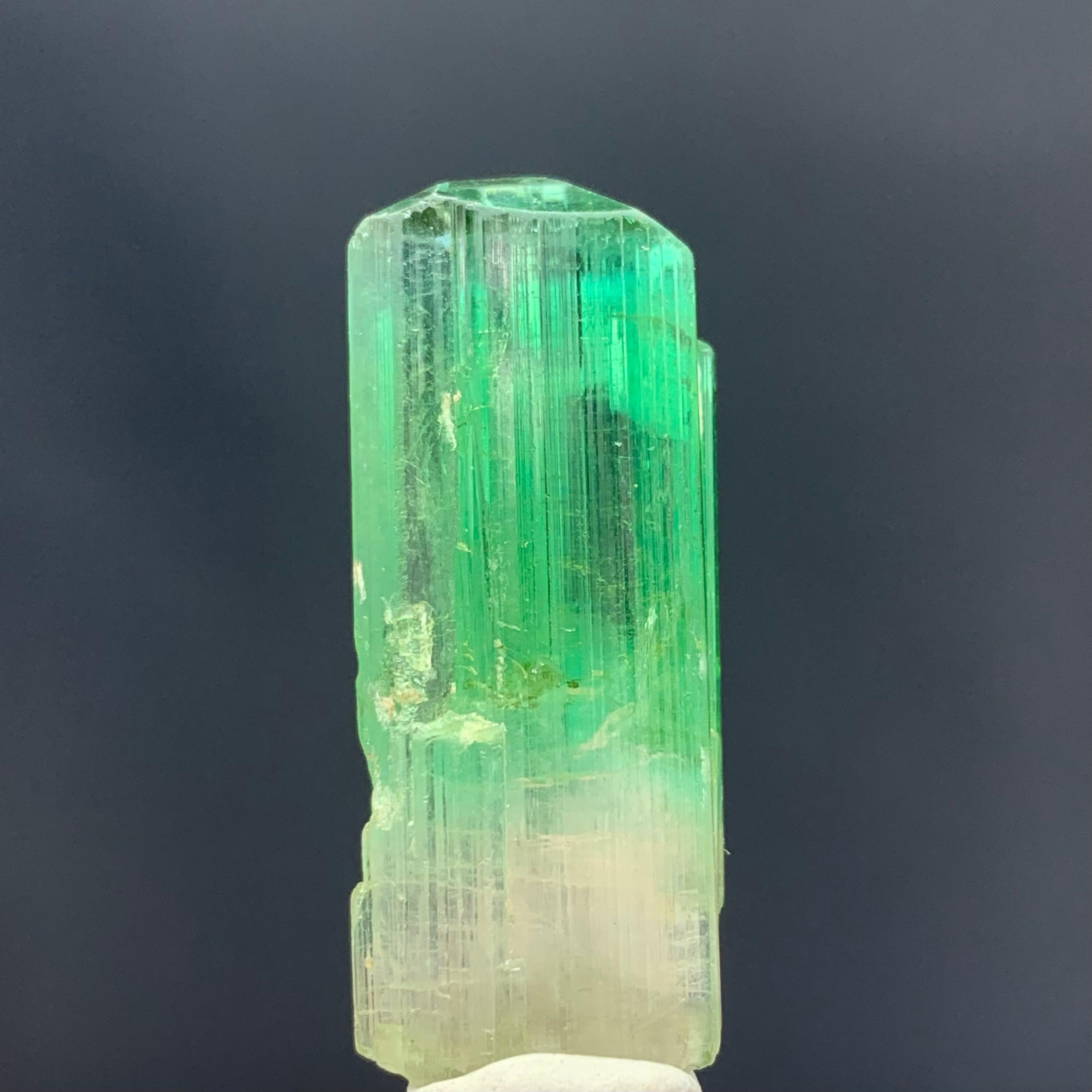 38.30 Carats Gorgeous Bi Color Tourmaline Crystal From Afghanistan  For Sale 2