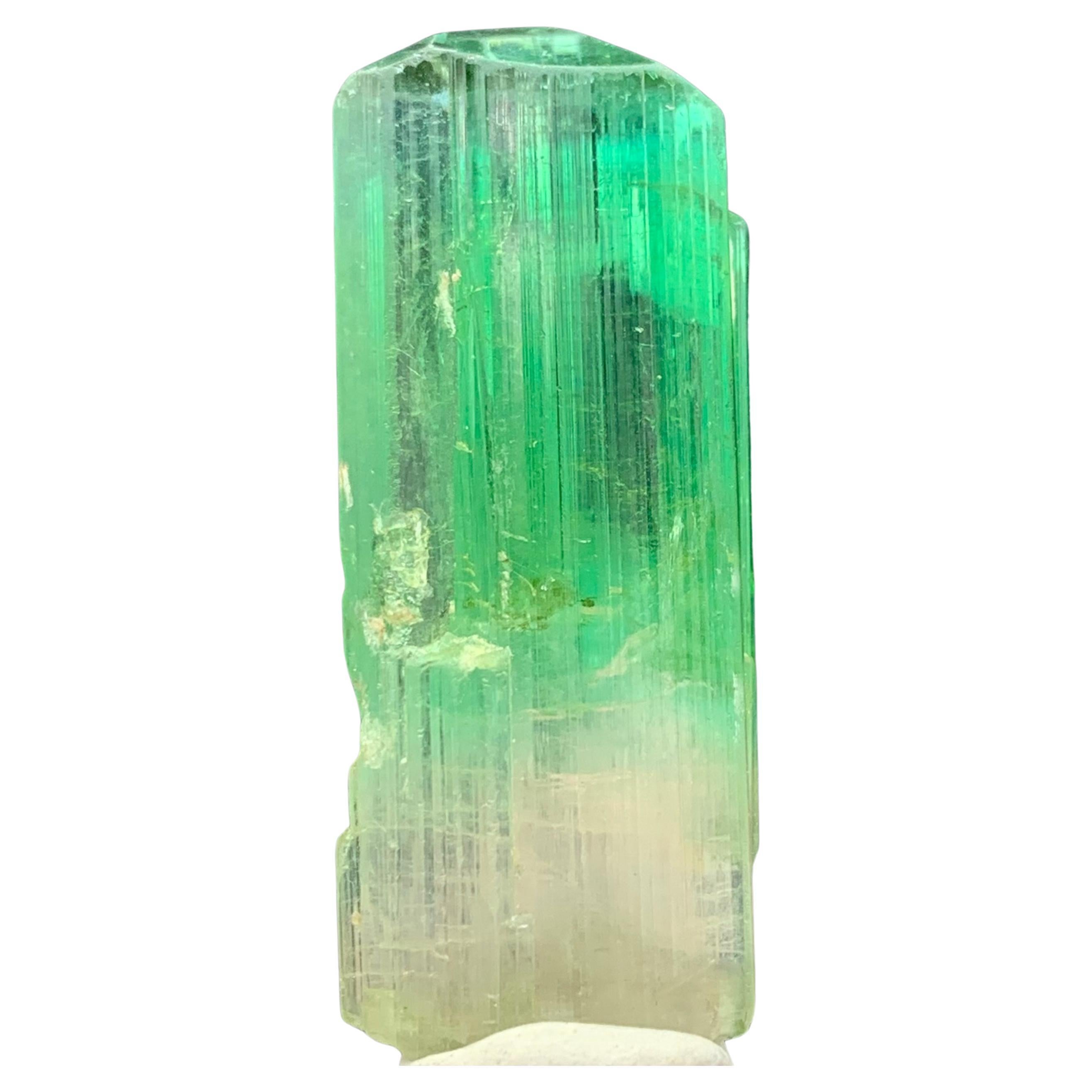 38.30 Carats Gorgeous Bi Color Tourmaline Crystal From Afghanistan  For Sale