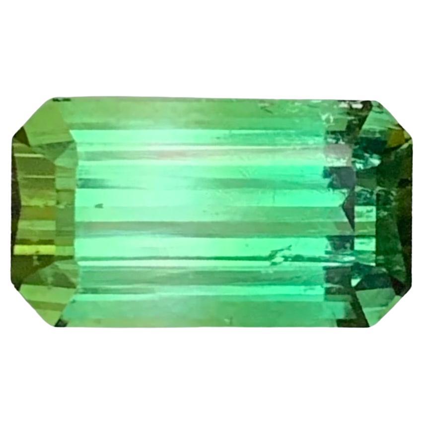 3.85 Carat Natural Loose Bi Colour Tourmaline Emerald Shape Gemstone (pierre précieuse en forme d
émeraude)