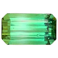 3.85 Carat Natural Loose Bi Colour Tourmaline Emerald Shape Gemstone (pierre précieuse en forme d
émeraude)