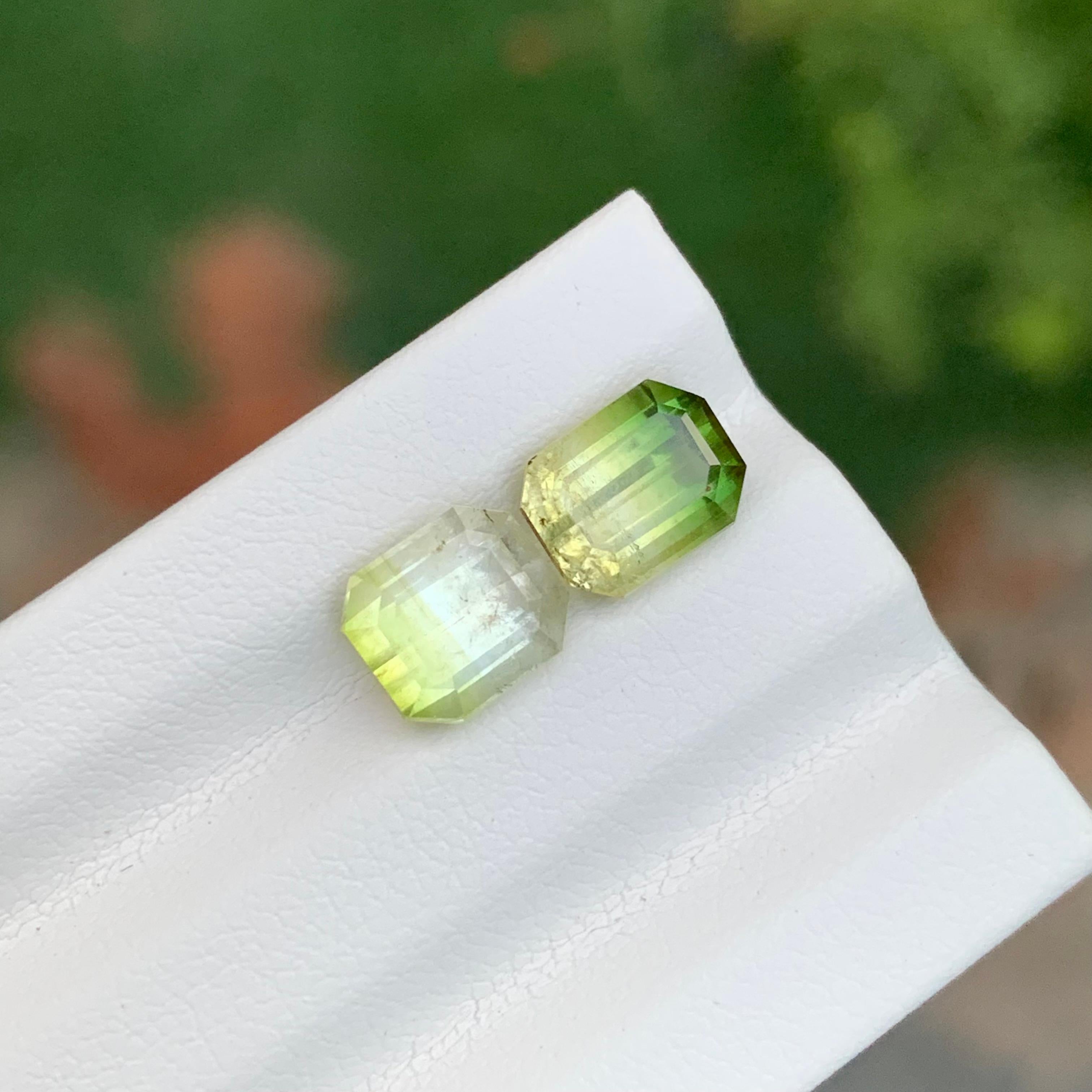 3.85 Carat Natural Loose Bi Colour Tourmaline Pieces From Afghanistan en vente 4