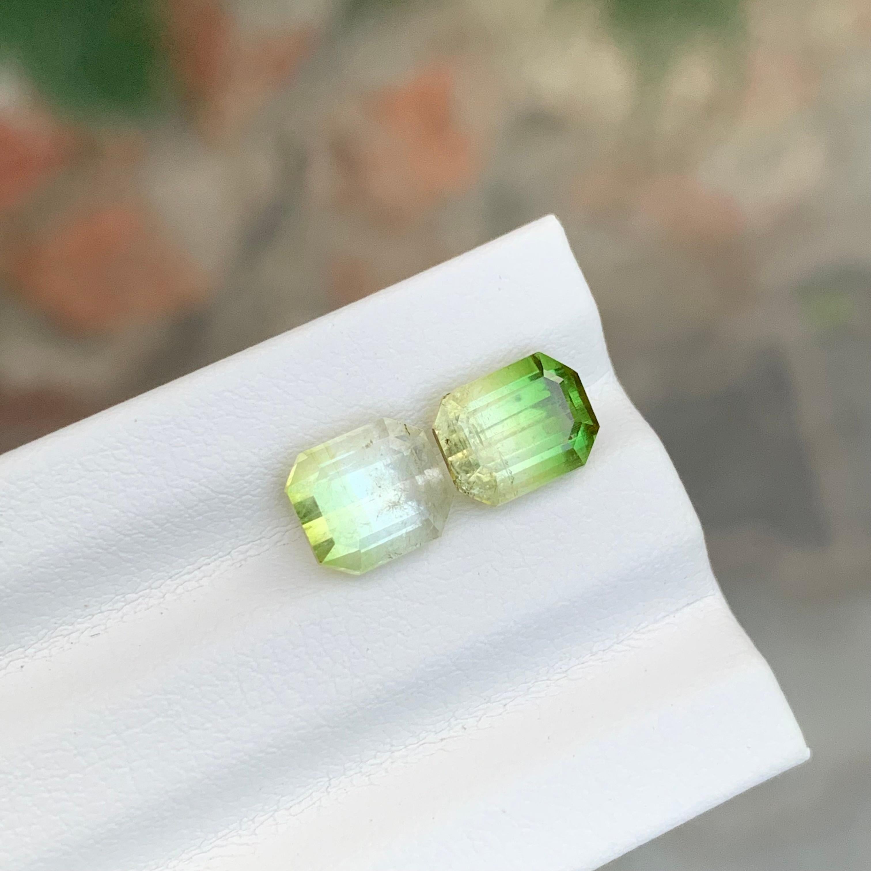 Arts and Crafts 3.85 Carat Natural Loose Bi Colour Tourmaline Pieces From Afghanistan en vente