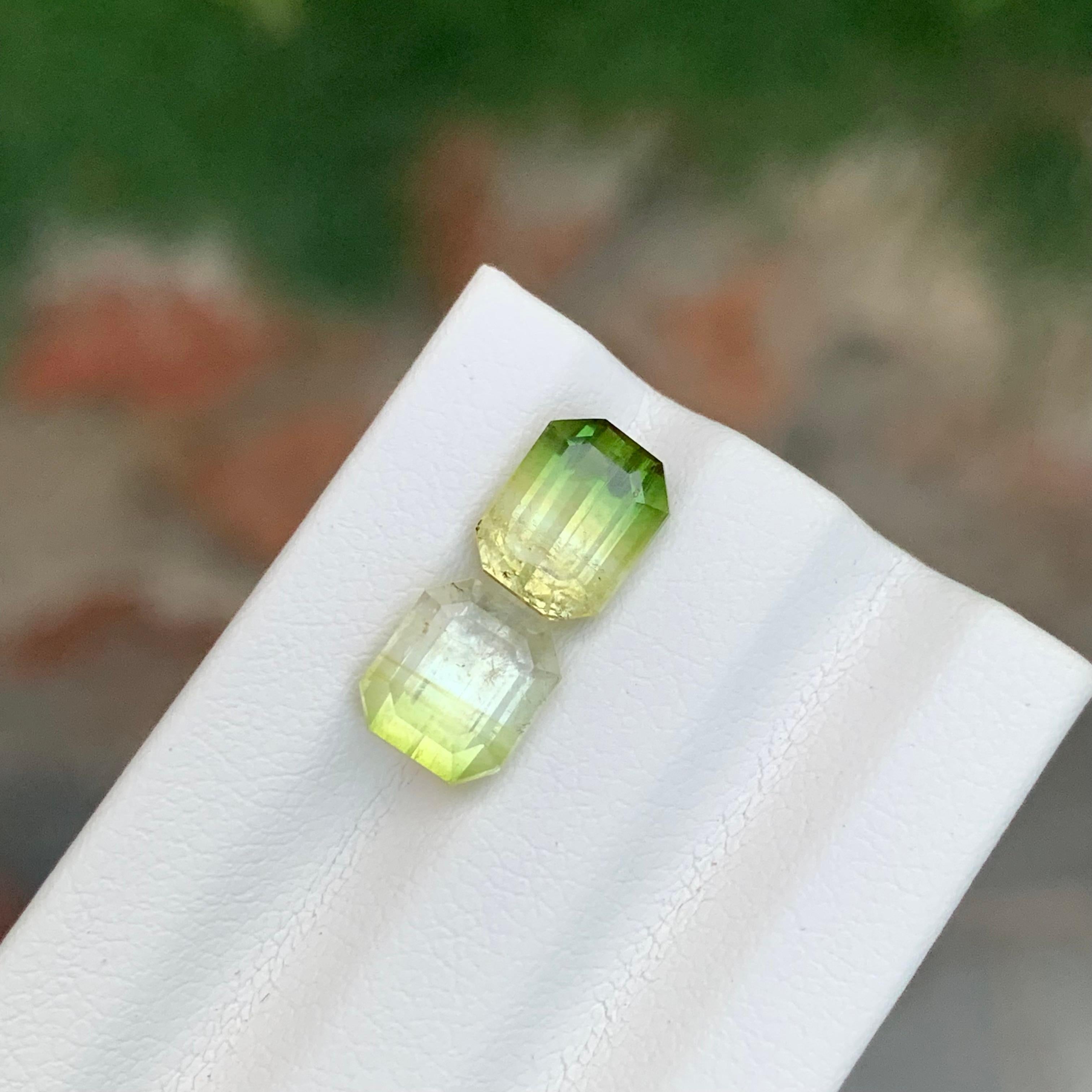 Taille coussin 3.85 Carat Natural Loose Bi Colour Tourmaline Pieces From Afghanistan en vente
