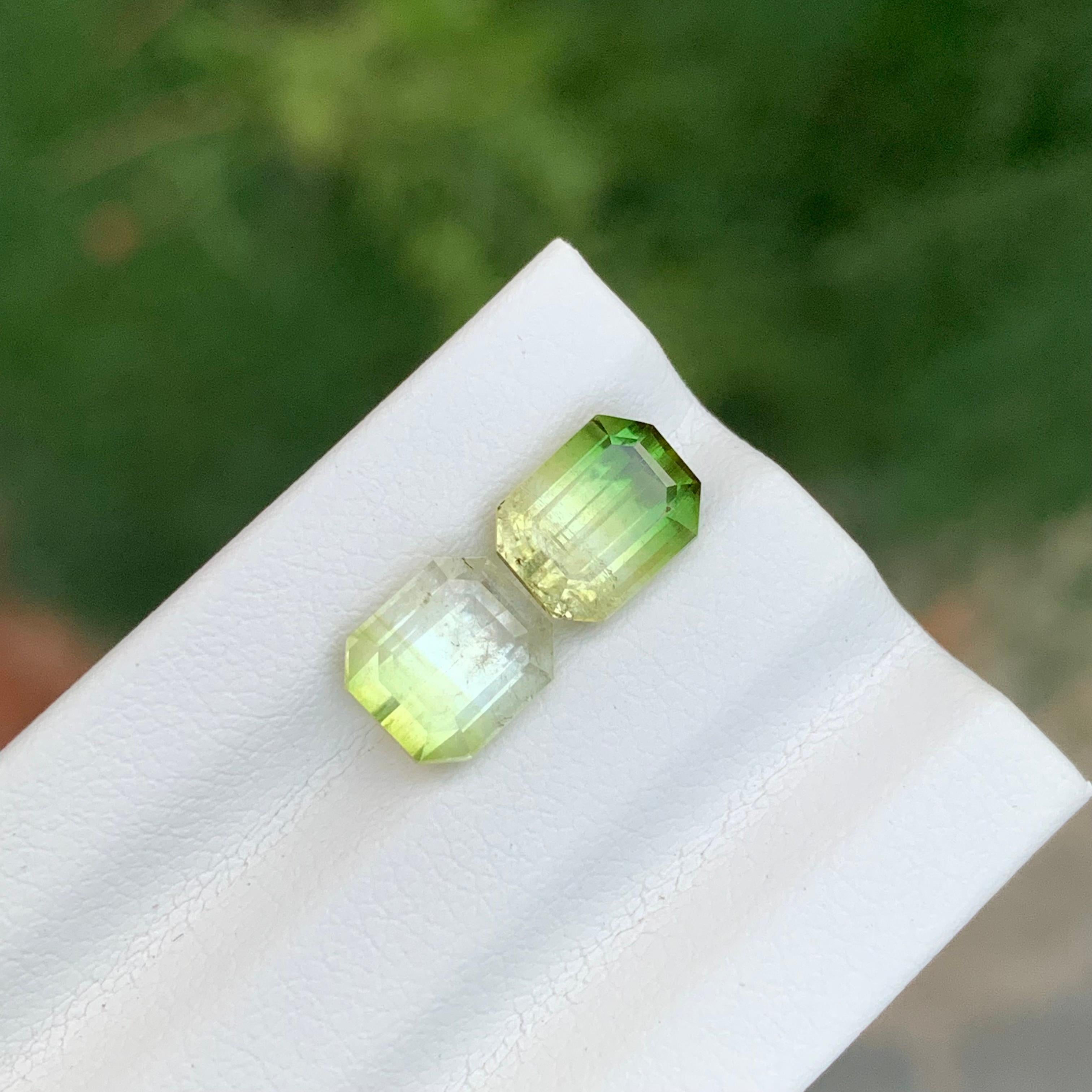 3.85 Carat Natural Loose Bi Colour Tourmaline Pieces From Afghanistan Neuf - En vente à Peshawar, PK