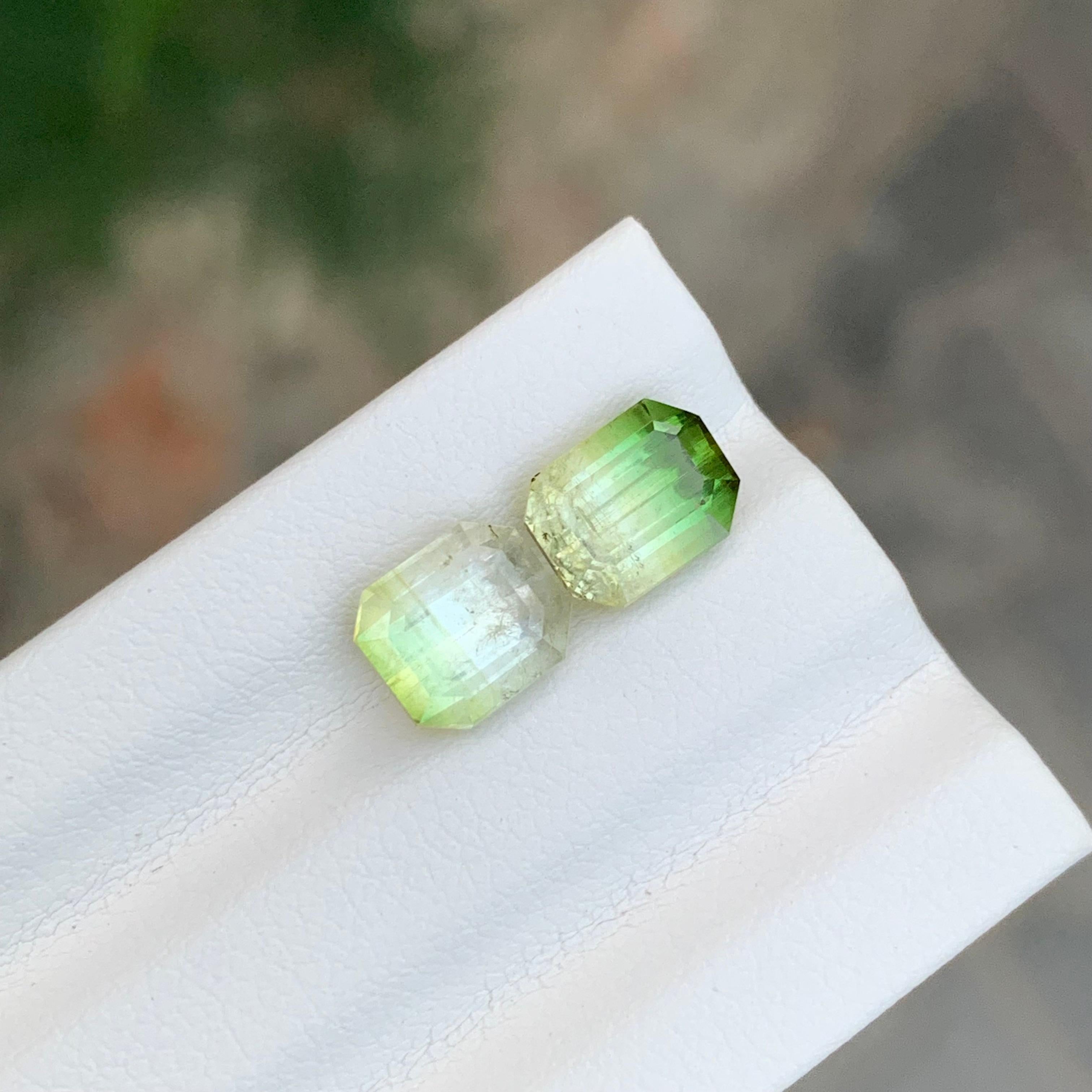 3.85 Carat Natural Loose Bi Colour Tourmaline Pieces From Afghanistan Unisexe en vente