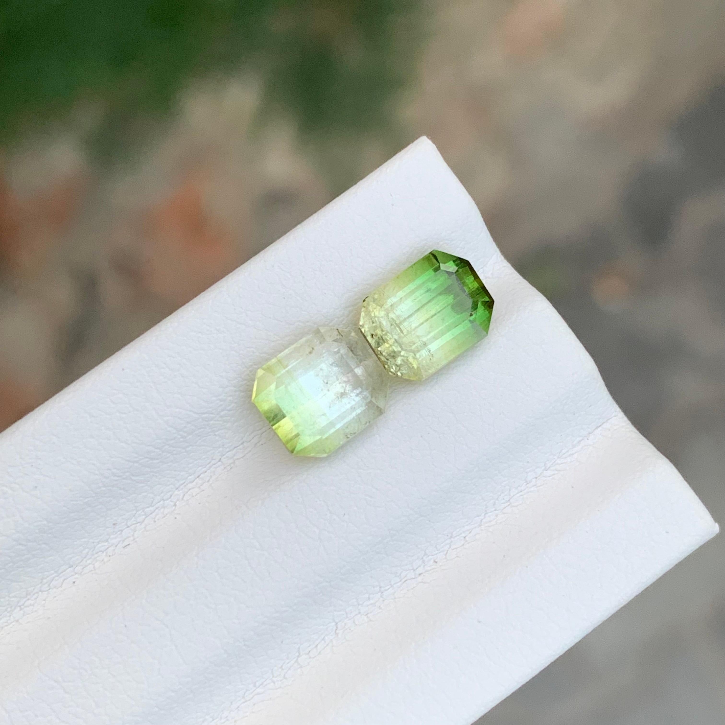 3.85 Carat Natural Loose Bi Colour Tourmaline Pieces From Afghanistan en vente 1