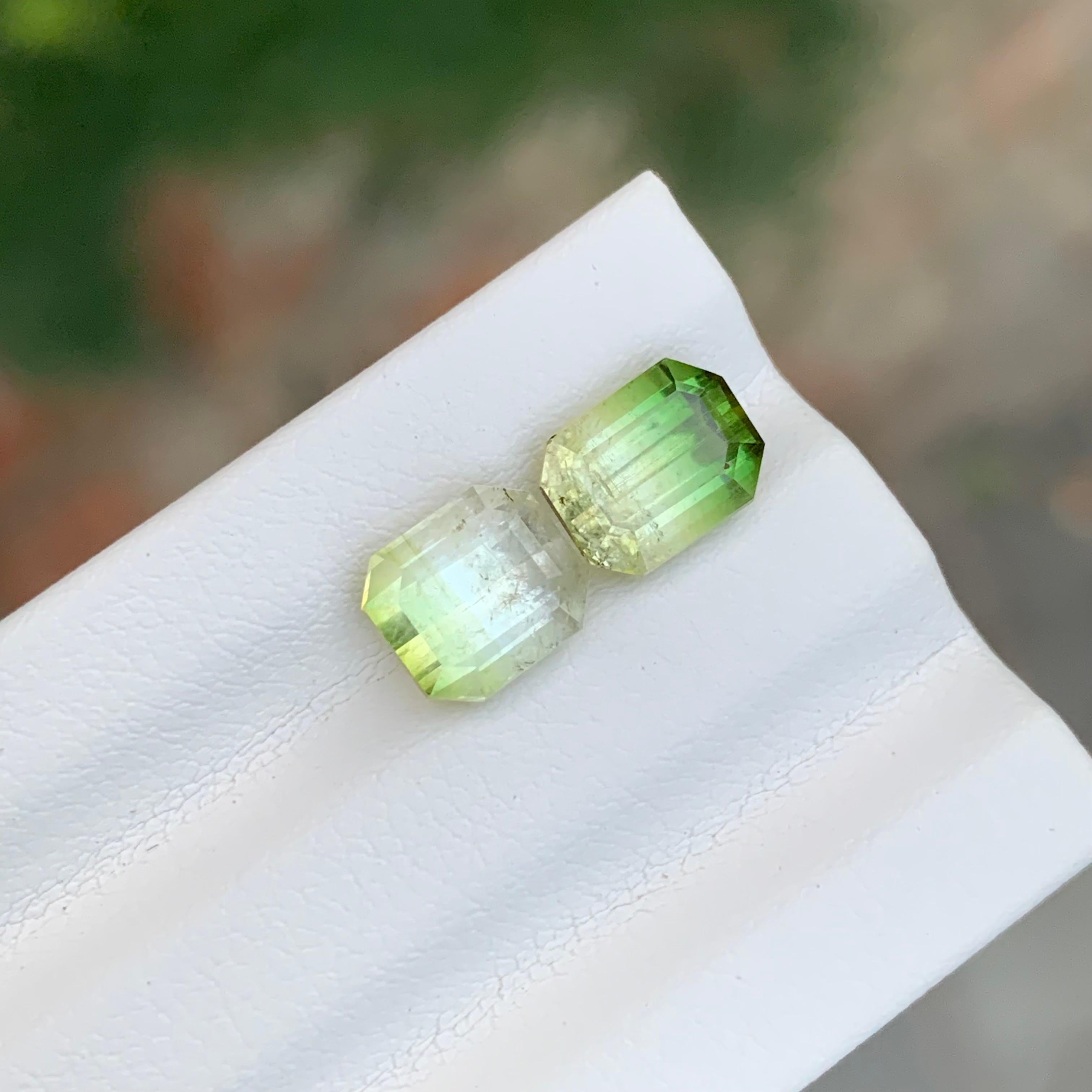3.85 Carat Natural Loose Bi Colour Tourmaline Pieces From Afghanistan en vente 2