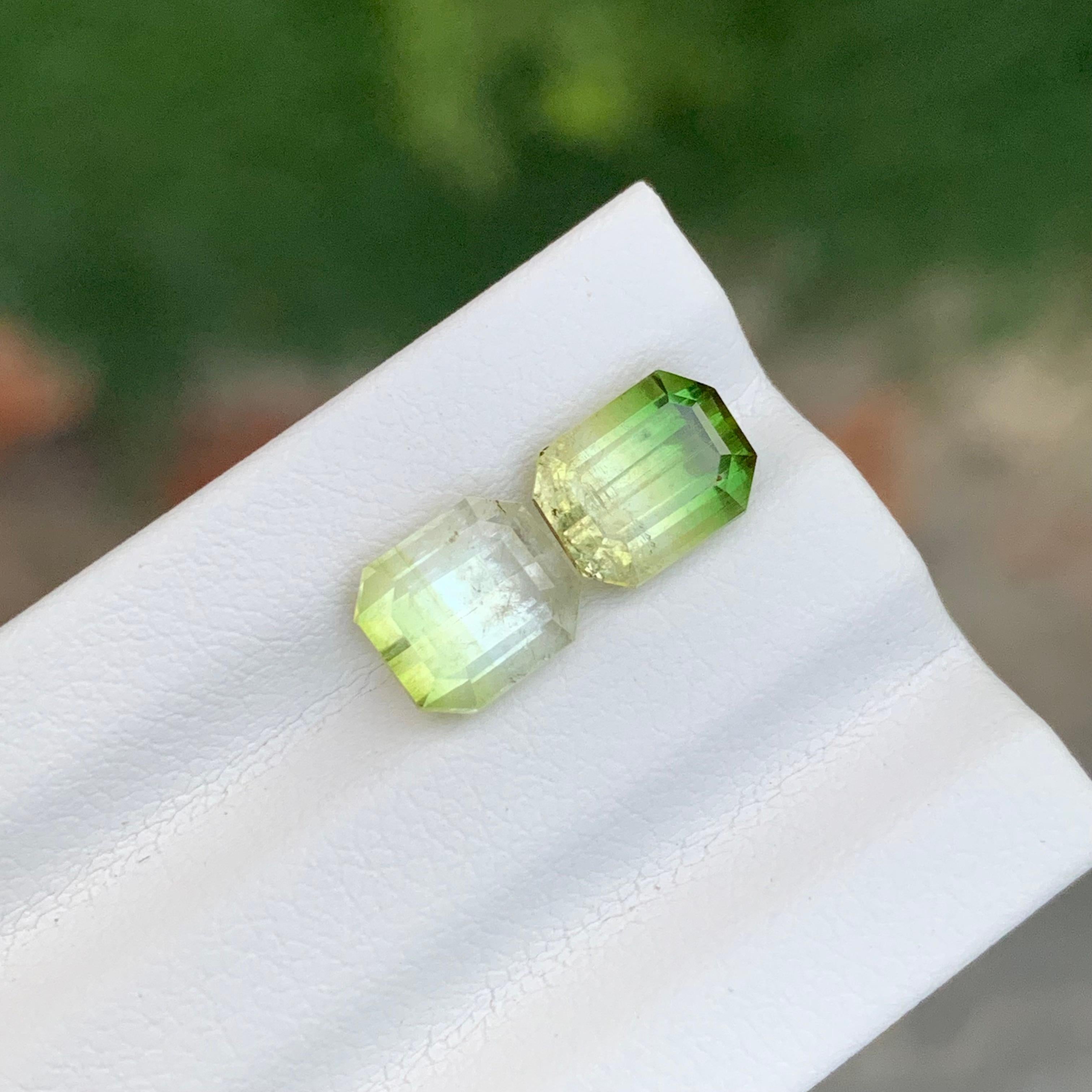 3.85 Carat Natural Loose Bi Colour Tourmaline Pieces From Afghanistan en vente 3
