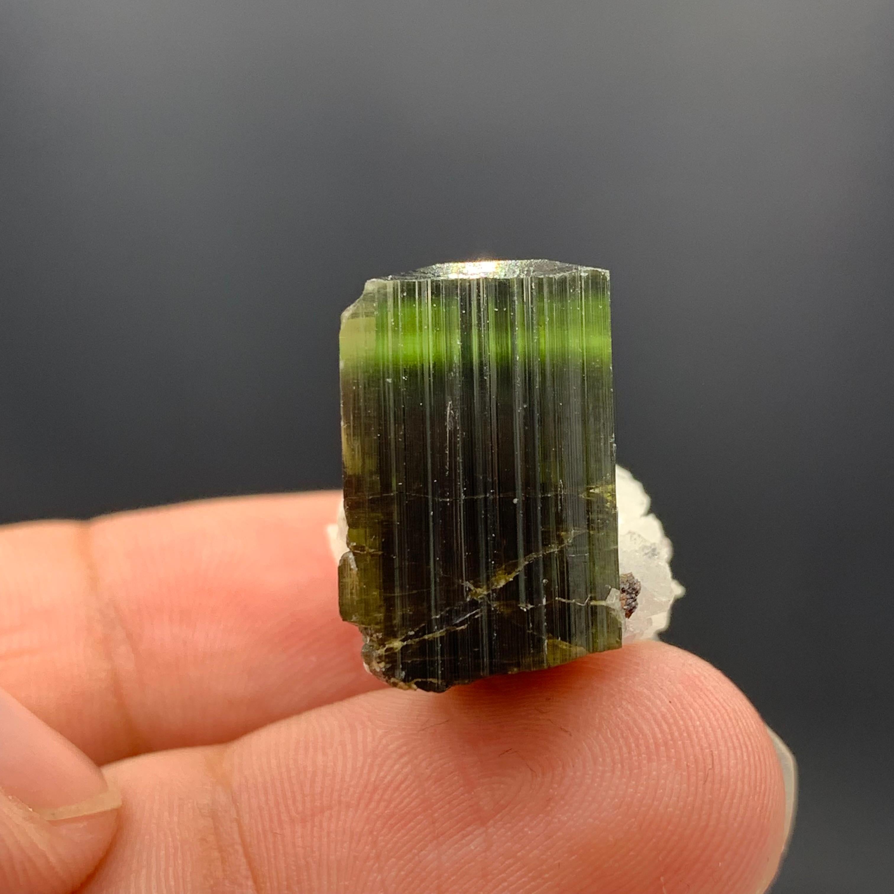 18th Century and Earlier 38.55 Carat Adorable Tourmaline Specimen With Albite From Skardu, Pakistan  For Sale