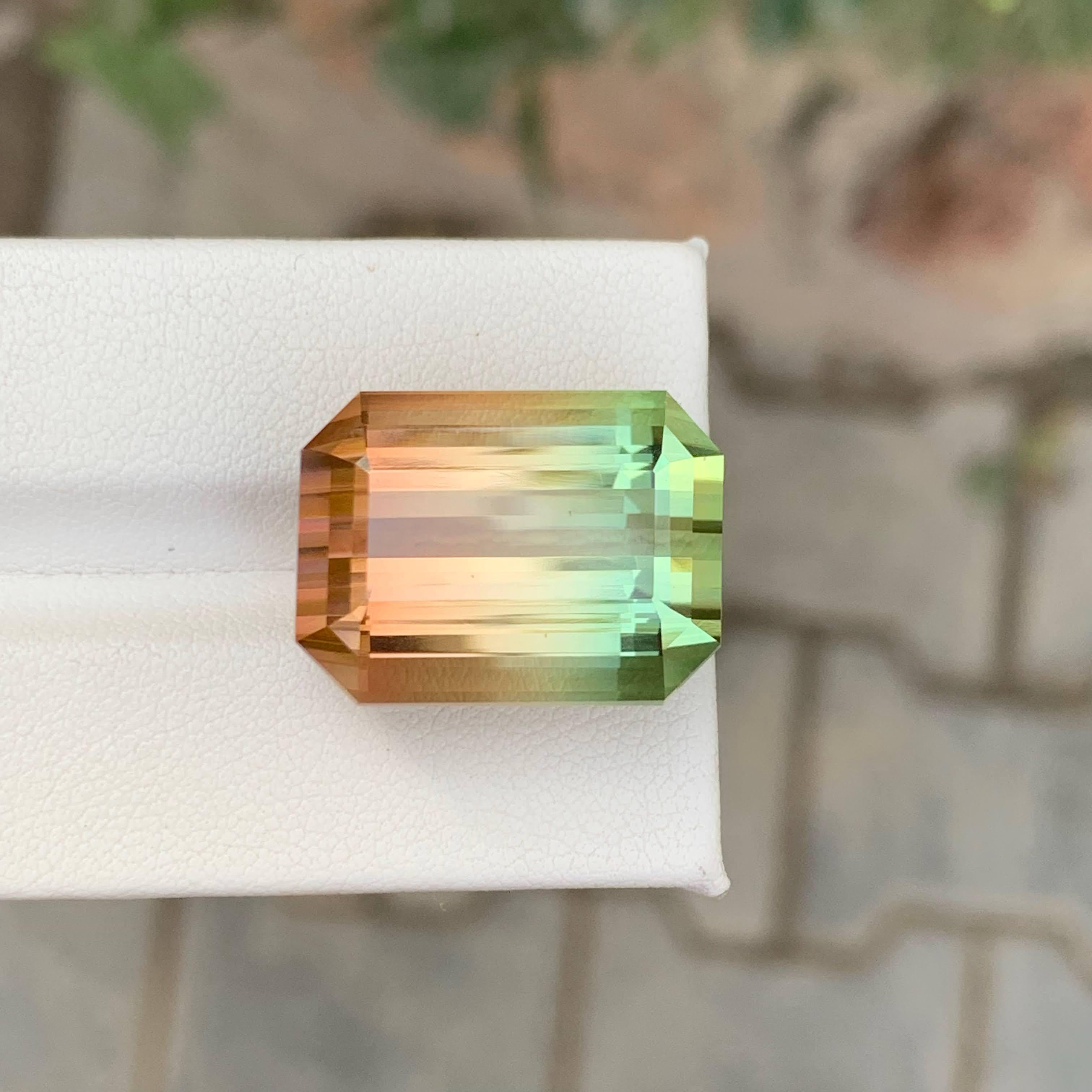 38,75 Karat Natürlicher Loser Bi Color Turmalin Stein Smaragd Schliff Afrikanischer Edelstein im Angebot 4