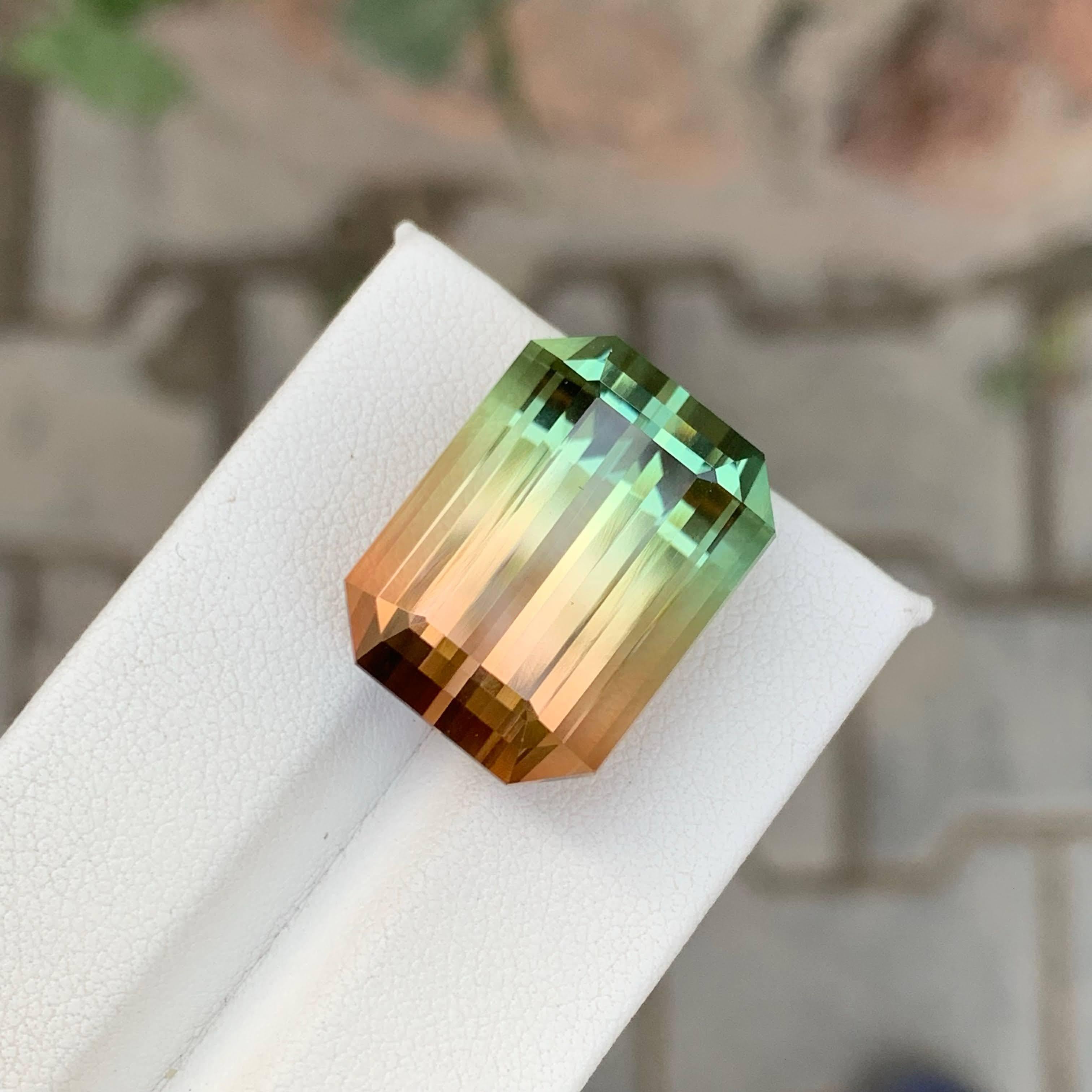 38,75 Karat Natürlicher Loser Bi Color Turmalin Stein Smaragd Schliff Afrikanischer Edelstein im Angebot 5