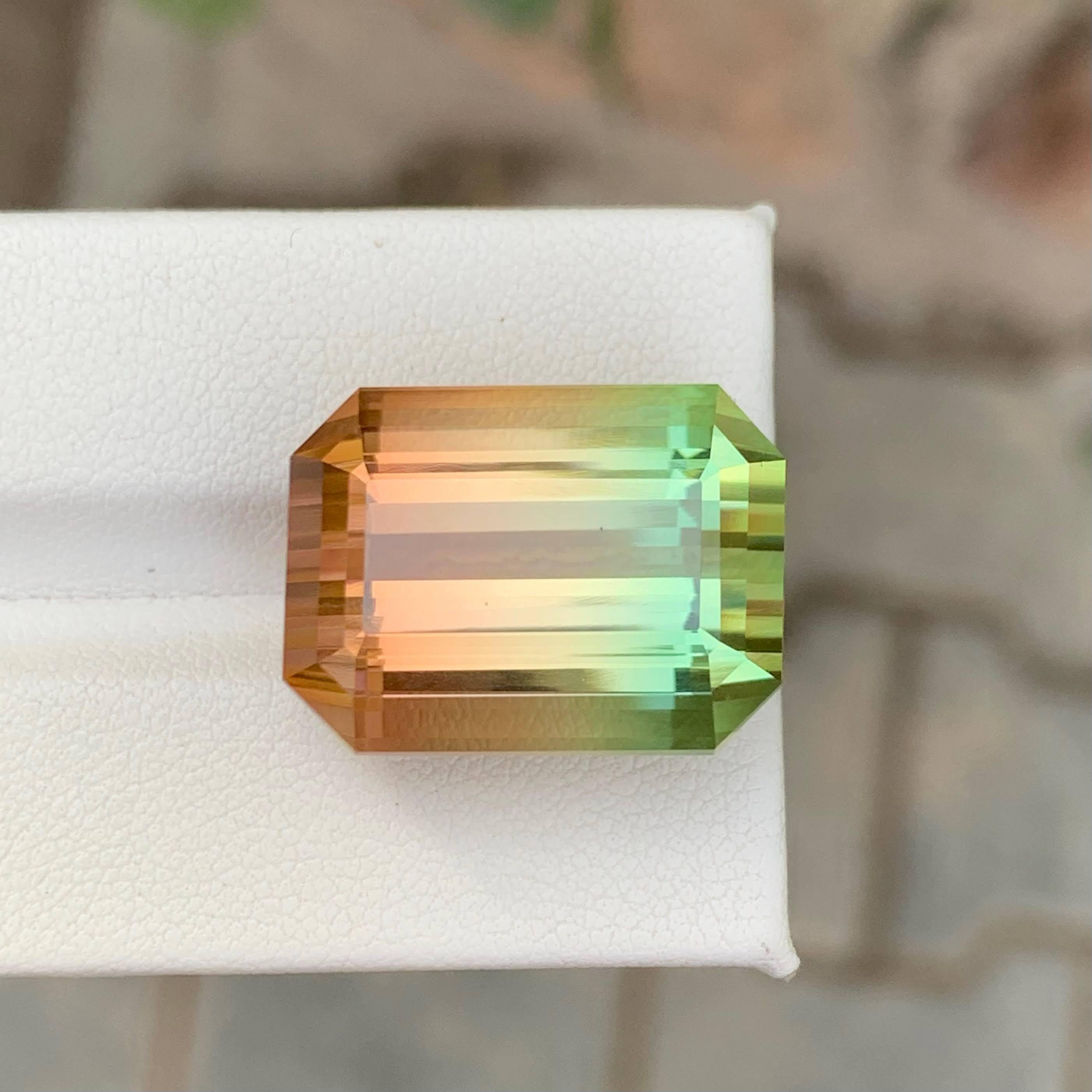 Gewicht 38,75 Karat 
Abmessungen 20,7x15,6x13,4 mm
Behandlung Keine 
Herkunft Afrika 
Klarheit Loup Clean 
Form Schliff Smaragd 




Dieser 38,75 Karat schwere natürliche zweifarbige Turmalin ist ein beeindruckender Sammler-Edelstein, der eine