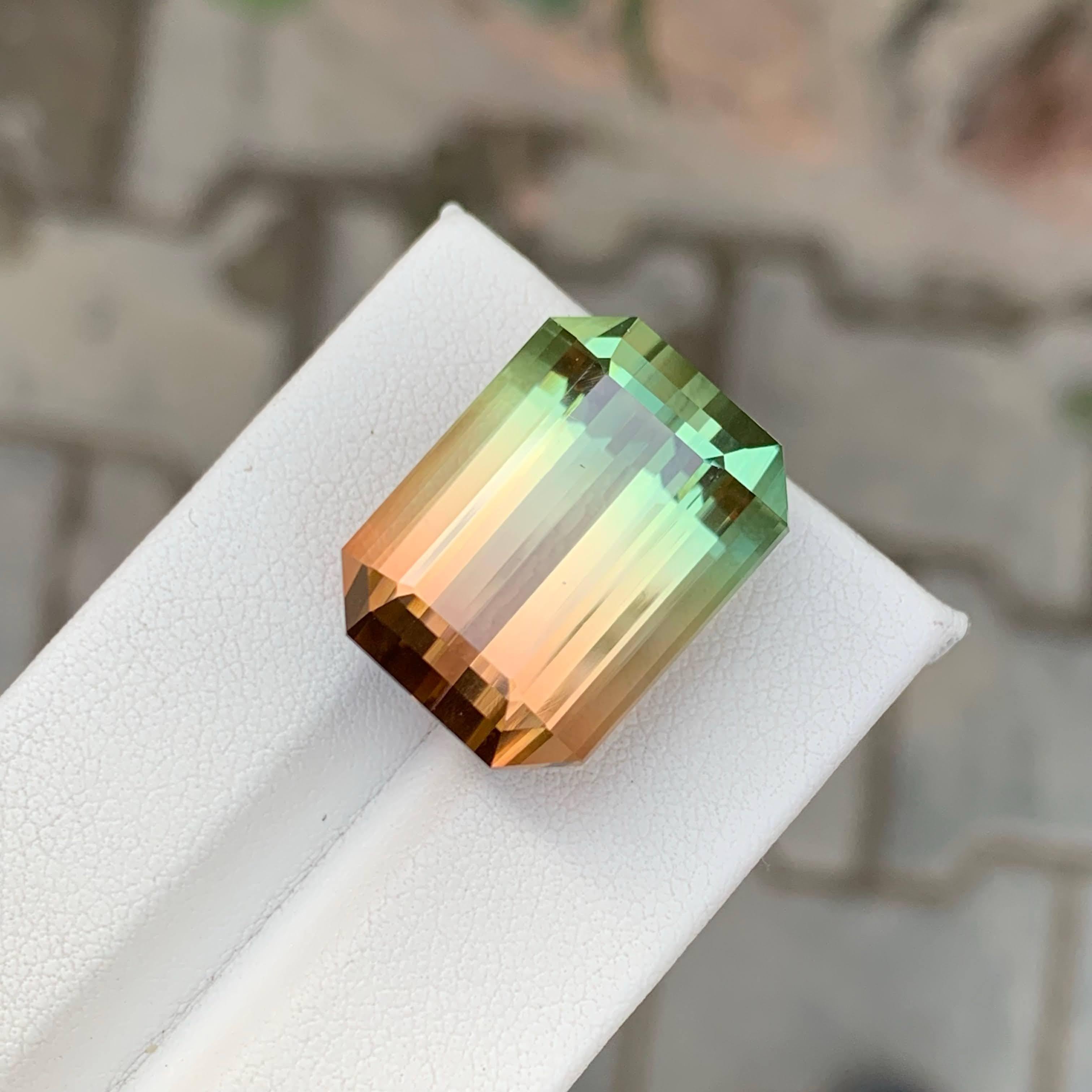 38,75 Karat Natürlicher Loser Bi Color Turmalin Stein Smaragd Schliff Afrikanischer Edelstein (Moderne) im Angebot