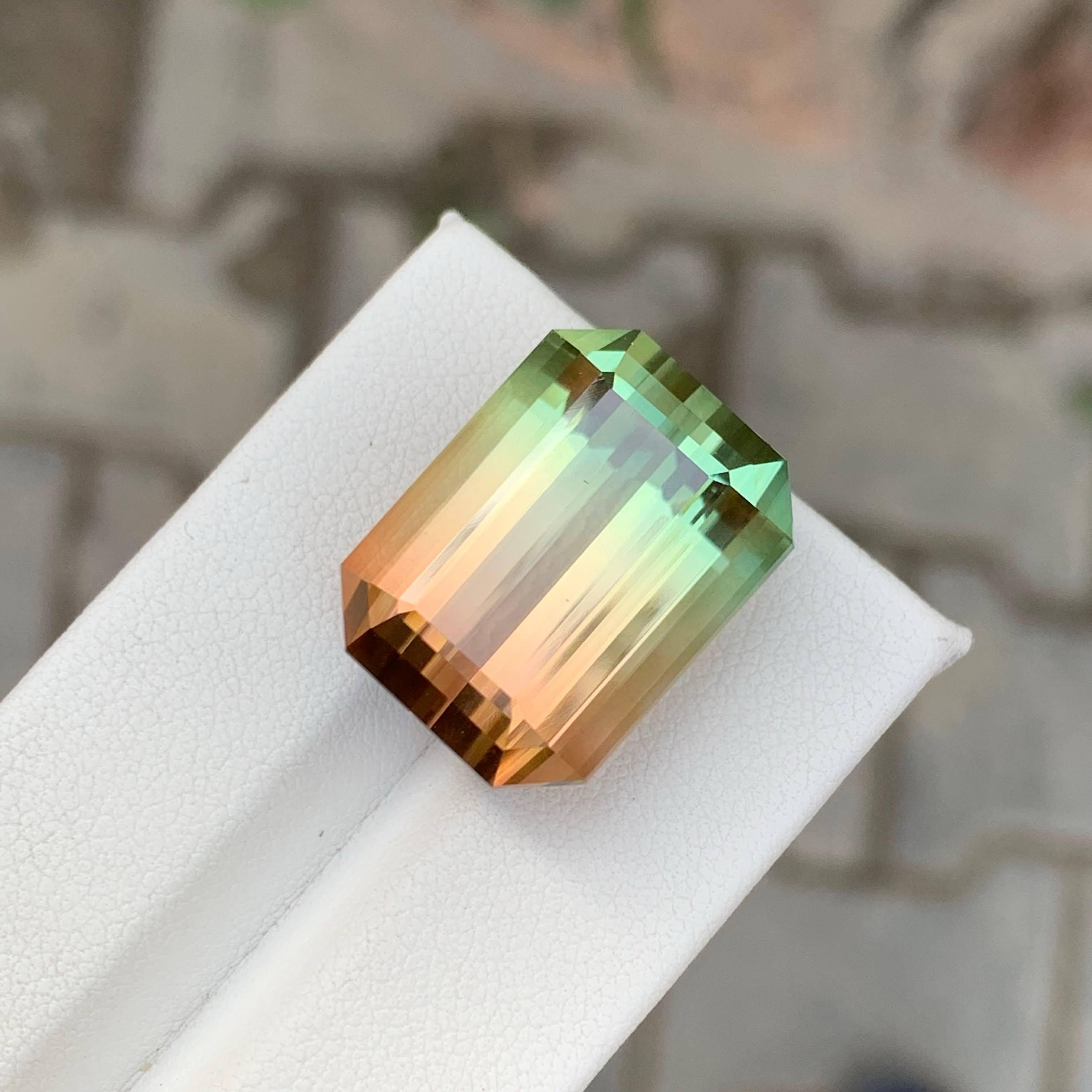 38,75 Karat Natürlicher Loser Bi Color Turmalin Stein Smaragd Schliff Afrikanischer Edelstein (Smaragdschliff) im Angebot