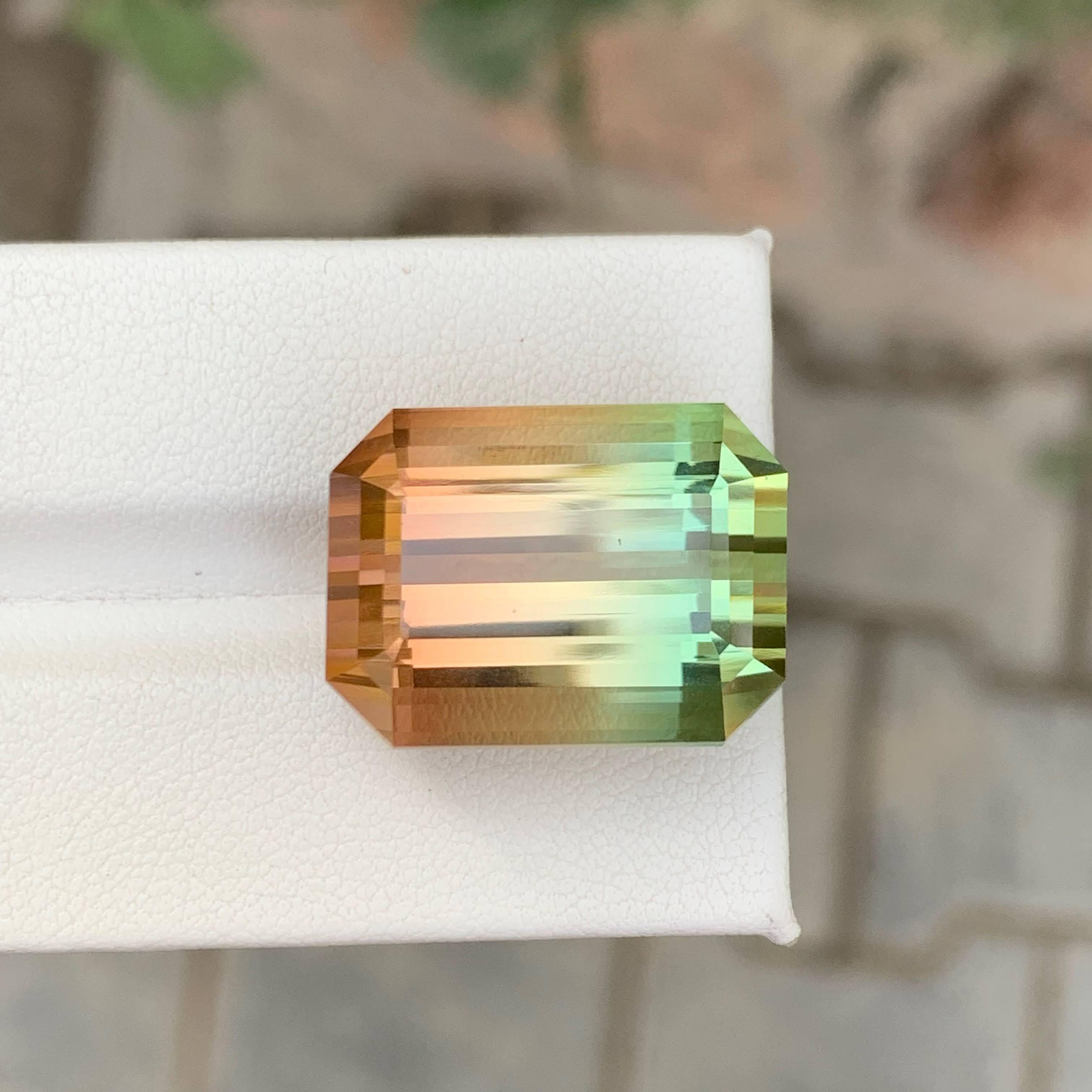 38,75 Karat Natürlicher Loser Bi Color Turmalin Stein Smaragd Schliff Afrikanischer Edelstein im Zustand „Neu“ im Angebot in Bangkok, TH