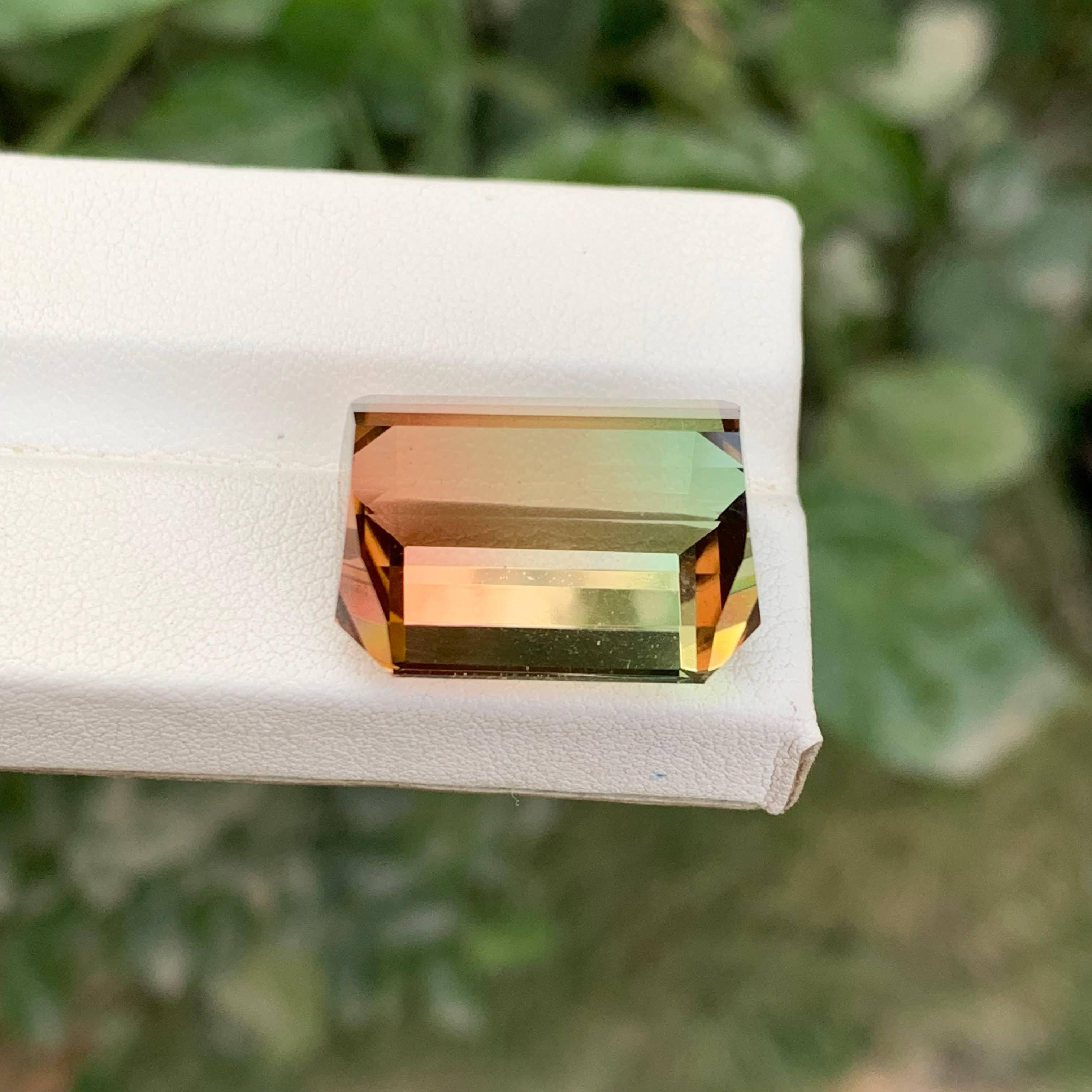 38,75 Karat Natürlicher Loser Bi Color Turmalin Stein Smaragd Schliff Afrikanischer Edelstein für Damen oder Herren im Angebot