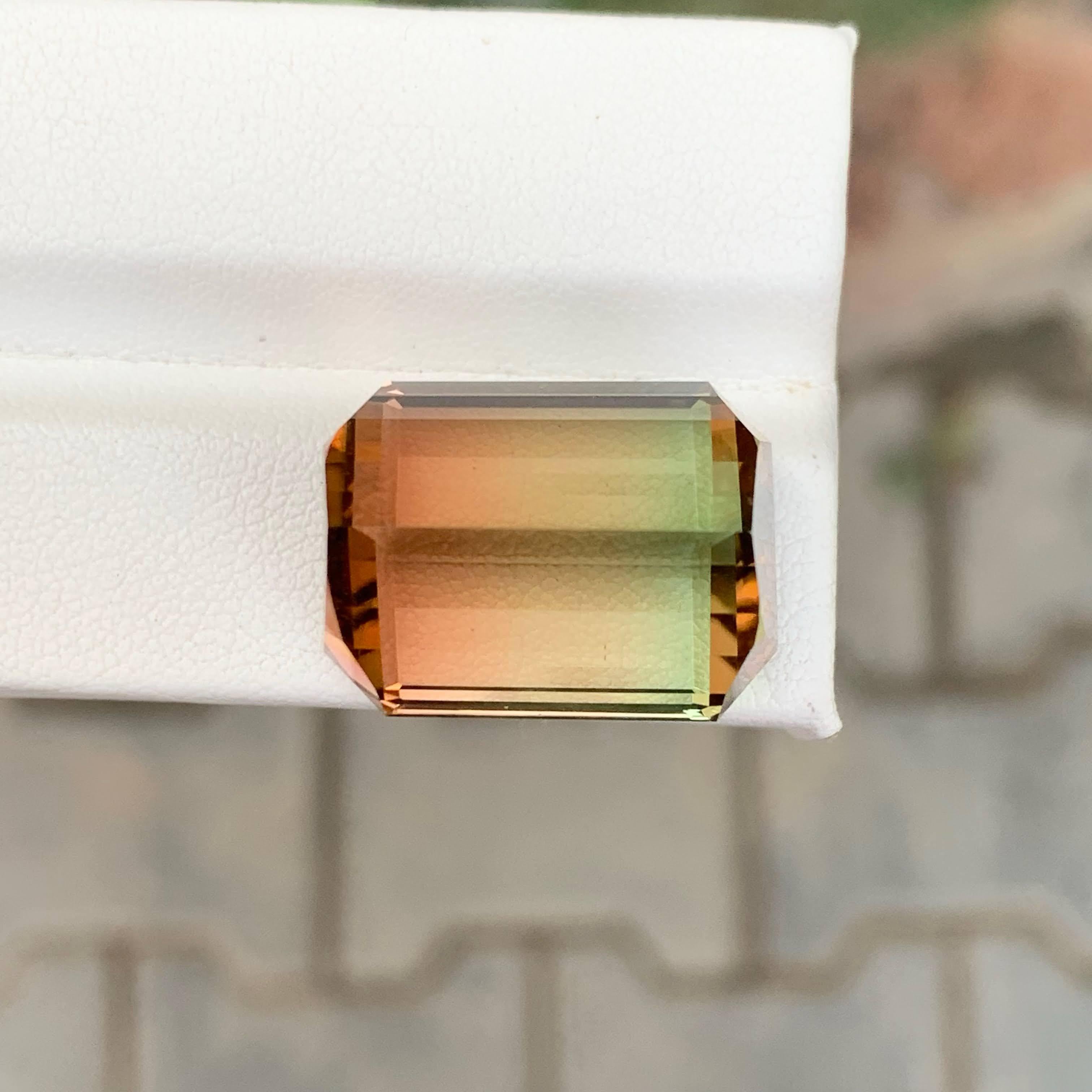 38,75 Karat Natürlicher Loser Bi Color Turmalin Stein Smaragd Schliff Afrikanischer Edelstein im Angebot 1