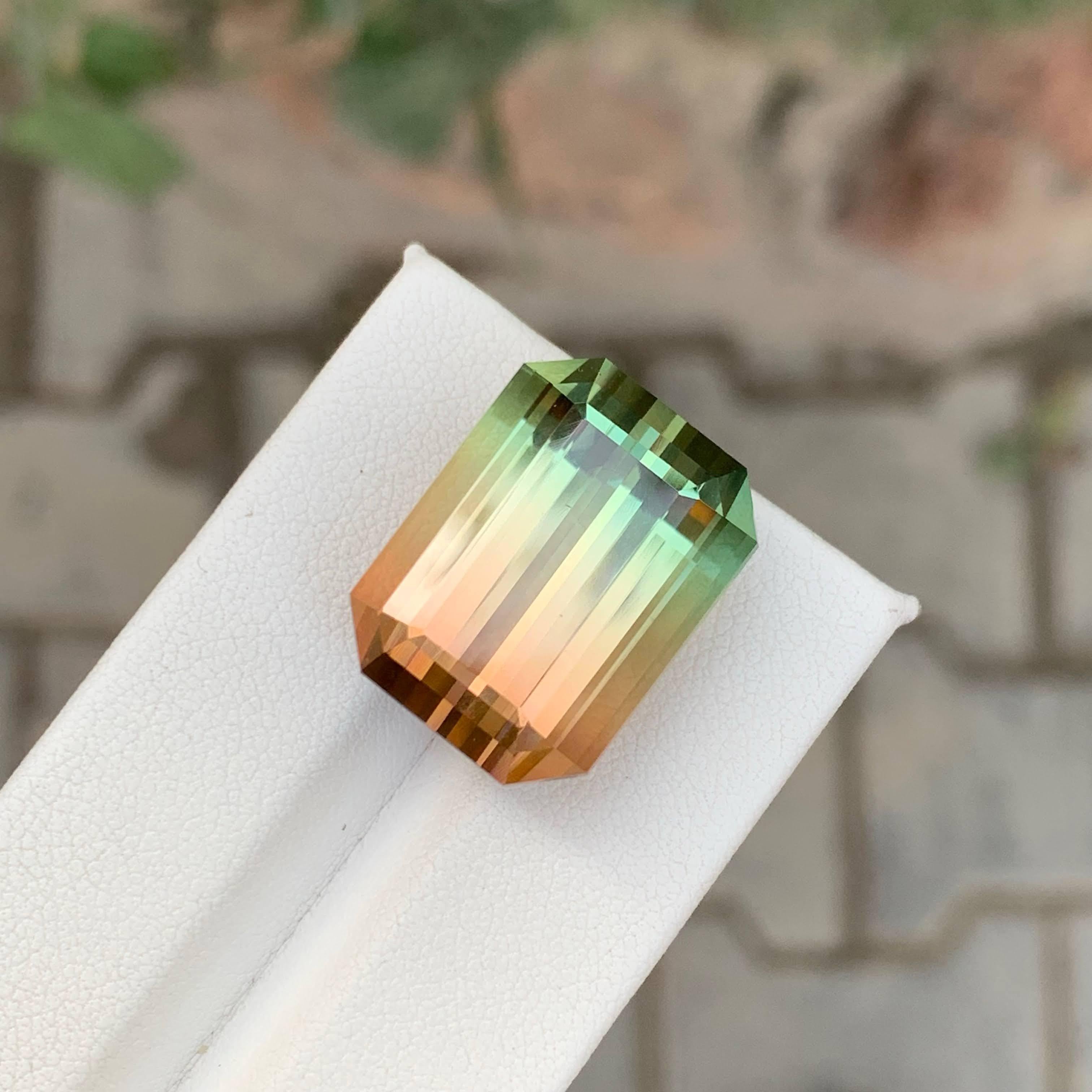 38,75 Karat Natürlicher Loser Bi Color Turmalin Stein Smaragd Schliff Afrikanischer Edelstein im Angebot 2