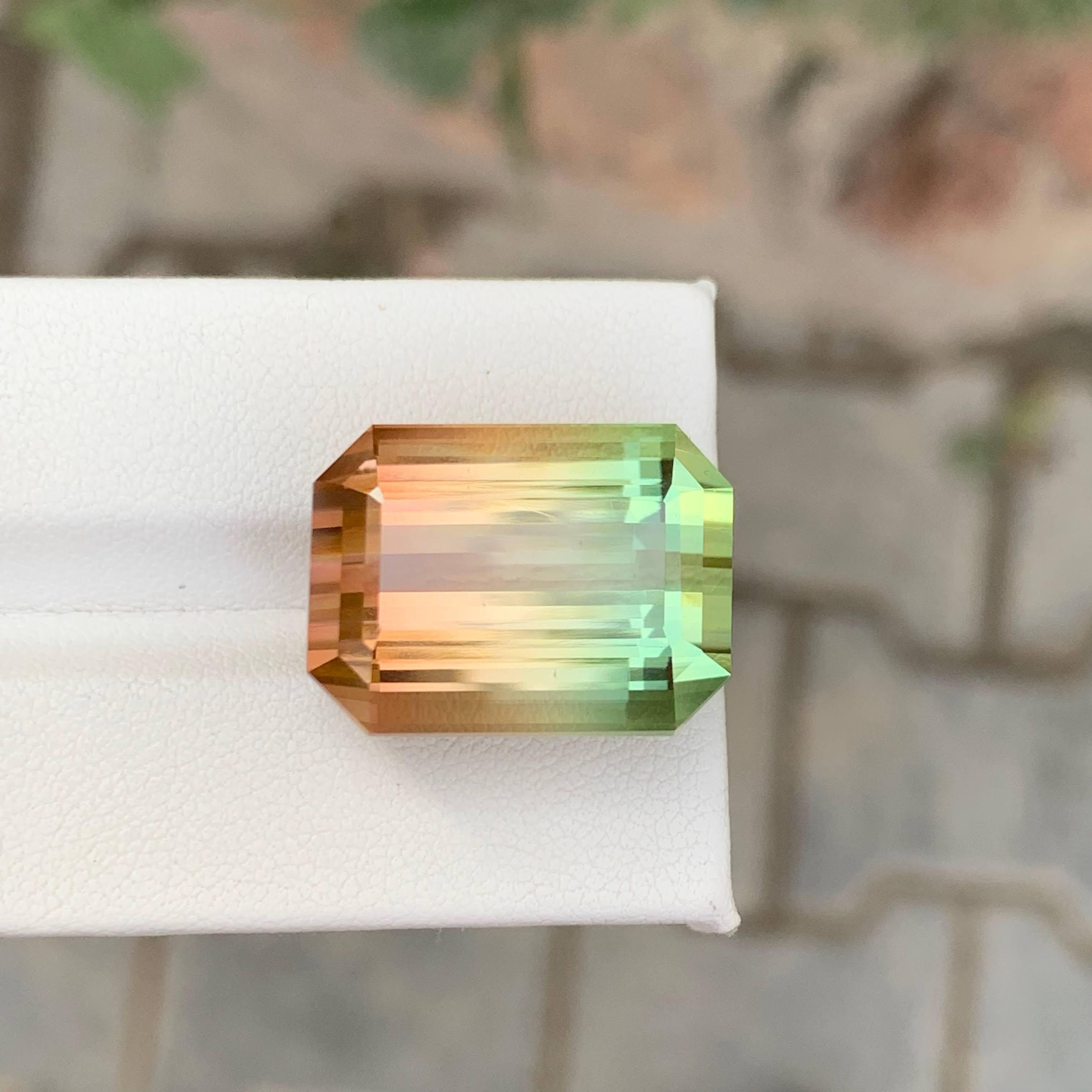 38,75 Karat Natürlicher Loser Bi Color Turmalin Stein Smaragd Schliff Afrikanischer Edelstein im Angebot 3