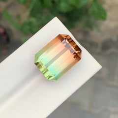 Grande tourmaline naturelle non sertie bicolore de 38,75 carats de qualité AAA