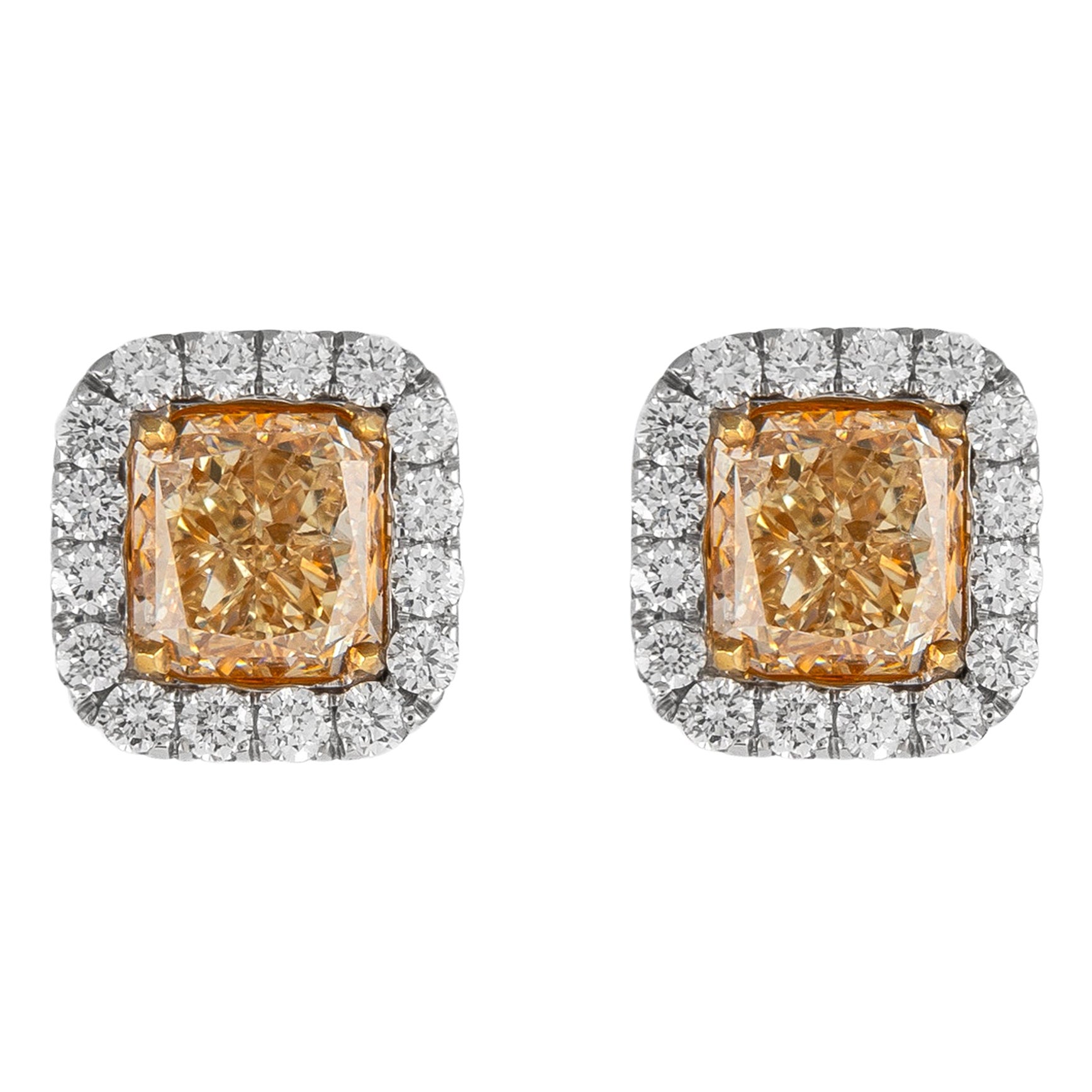 Orecchini con diamanti gialli 3,88ct Fancy con aureola 18k