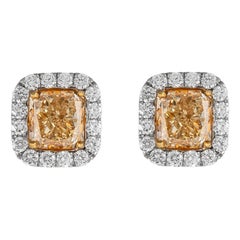 Orecchini con diamanti gialli 3,88ct Fancy con aureola 18k