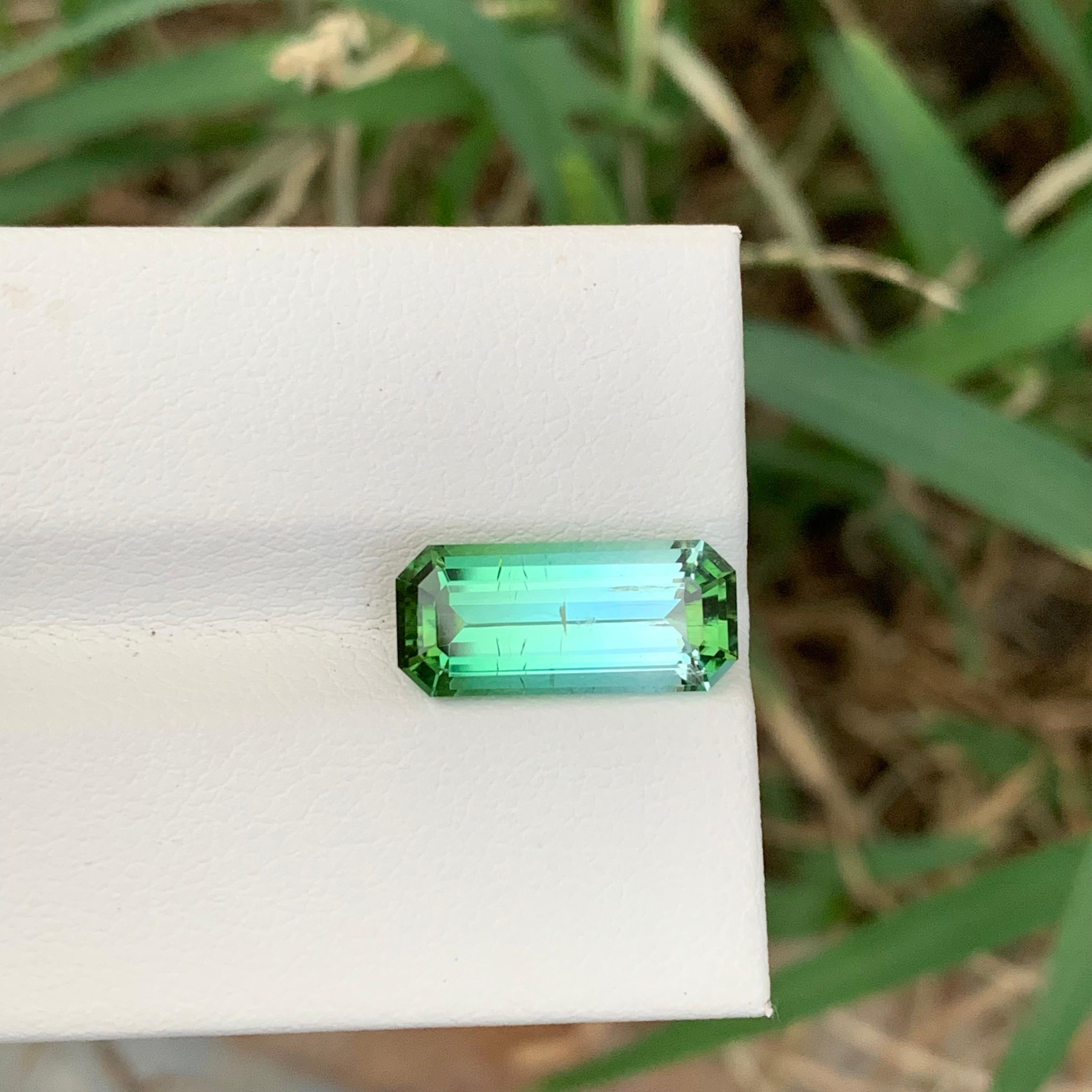 3.90 Karat Natürliche Lose Bi Farbe Turmalin Smaragd Form Edelstein für Halskette (Arts and Crafts) im Angebot