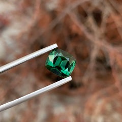 3.90 Carat Natural Loose Green Tourmaline Cushion Shape Gem