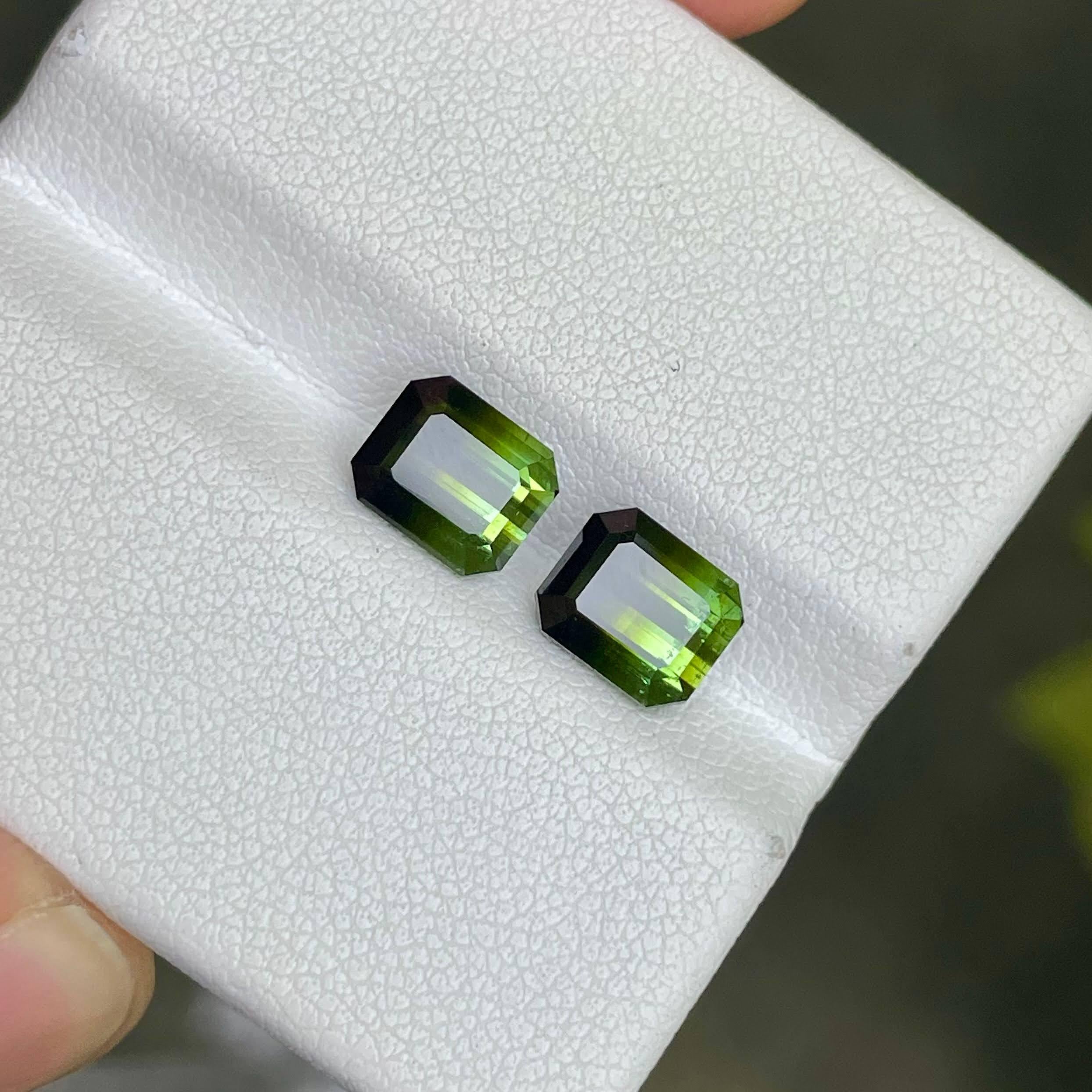 Weight 3.94 carats 
Dimensions 7.2x6.1x5.2 mm
Treatment none 
Origin Afghanistan 
Clarity eye clean 
Shape octagon 
Cut emerald 



The Bi color Tourmaline Pair is an exquisite gemstones, boasting a remarkable weight of 3.94 carats. Mined from the