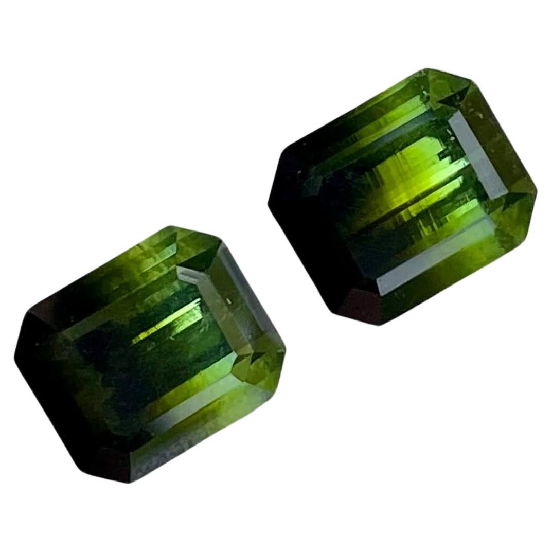 3.94 Carats Bicolor Tourmaline Pair Stones Emerald Cut Afghan Gemstone