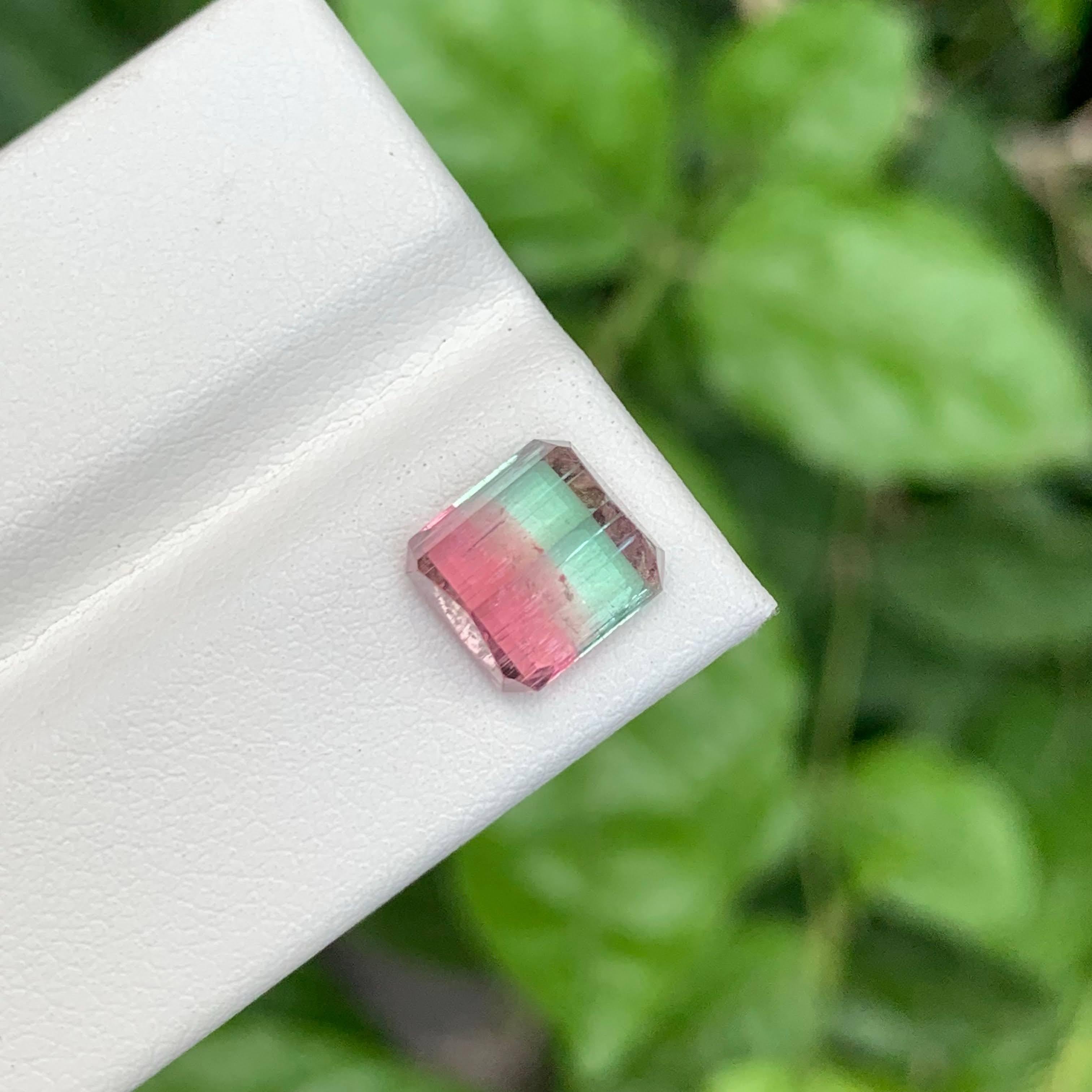 Poids 3,95 carats
Dimensions 8,7x8,1x6,4mm
Traitement Aucun
Origine afghane
Clarity SI
Forme Octogone
Émeraude taillée
NA



Cette tourmaline naturelle bicolore de 3,95 carats est une pierre précieuse captivante, présentant un mélange harmonieux de
