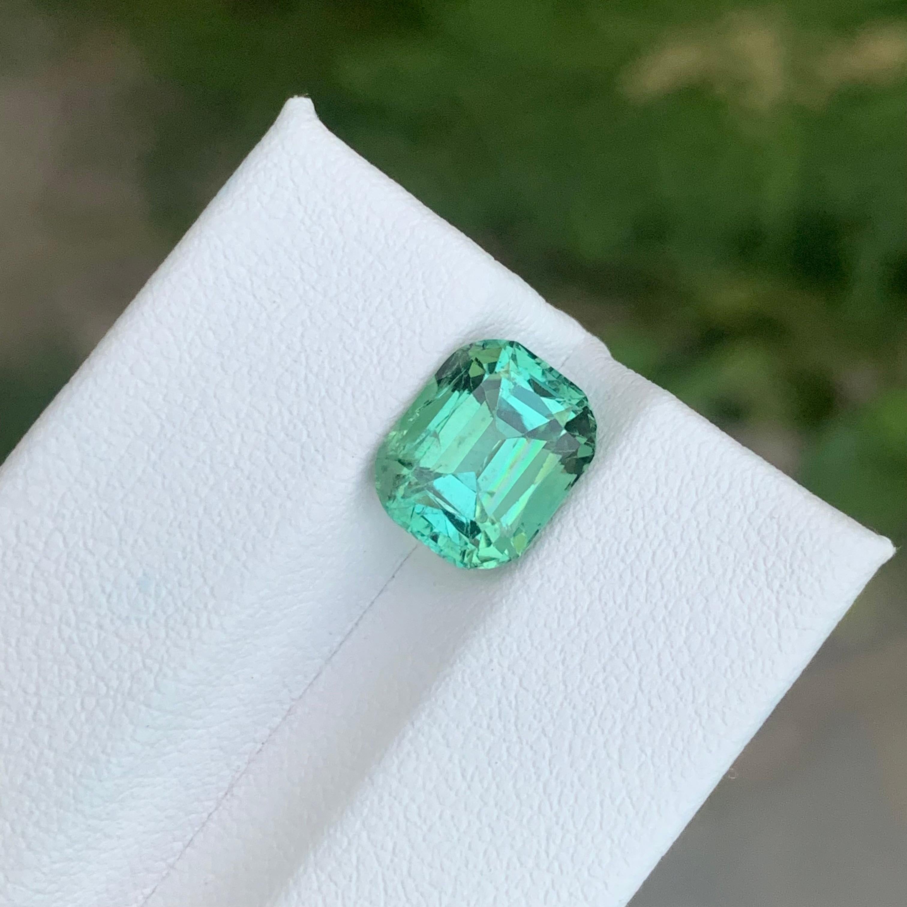 Faceted Green Tourmaline

Weight: 3.95 Carat
Dimension: 9.8 x 8 x 6.5 Mm
Colour: Green
Treatment: Non
Certificate: On Customer Demand
Shape: Cushion


Tourmaline is a captivating gemstone known for its remarkable variety of colors, making it a