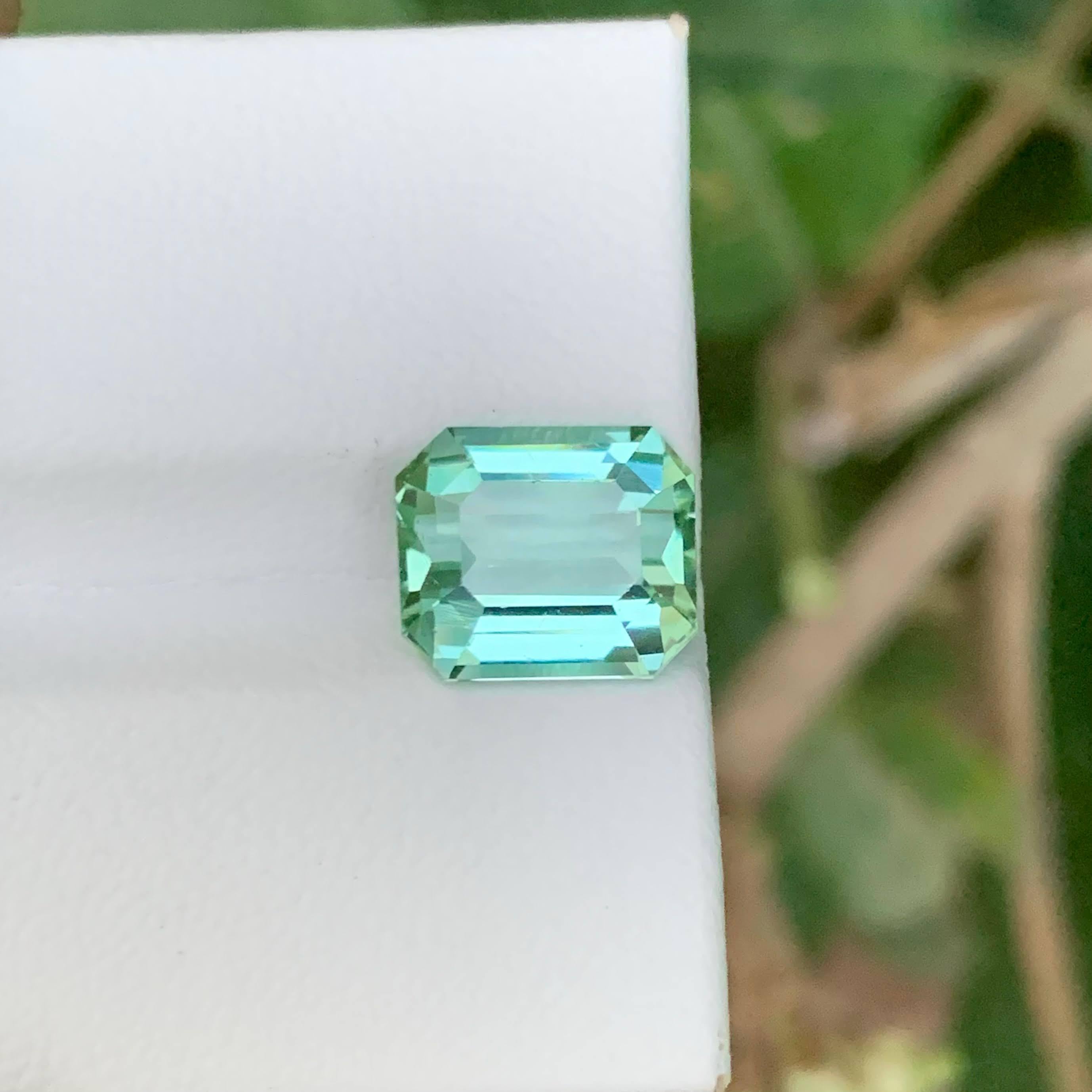 Peso 3,95 quilates 
Dimensiones 10,0x8,5x5,8 mm
Tratamiento Ninguno 
Origen Afgano 
Claridad VVS 
Forma Corte Esmeralda 




Esta preciosa Turmalina Verde Claro natural de 3,95 quilates muestra un refrescante y suave tono verde que refleja pureza y