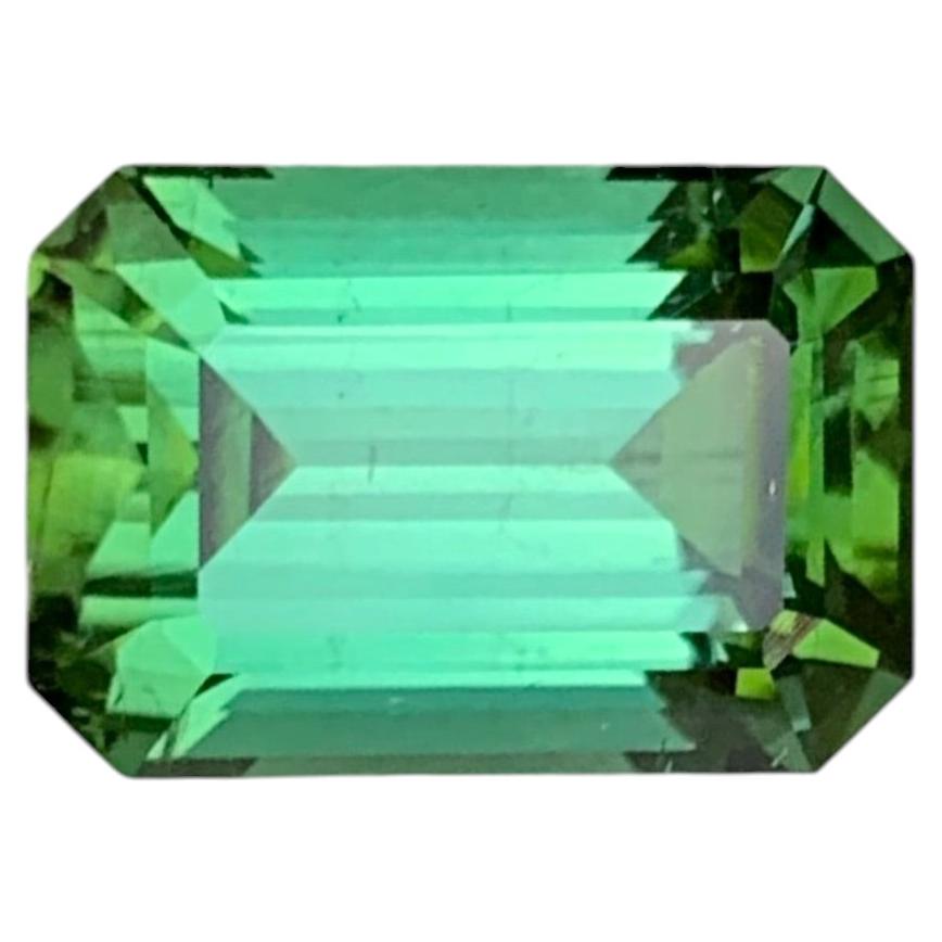 Tourmaline vert bleuté de 3,95 carats, pierre précieuse naturelle facettée en vente