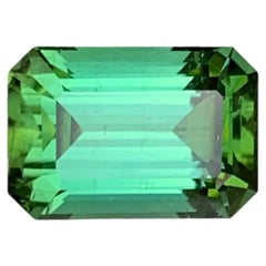 3.95 Carats Bluish Green Tourmaline Natural Faceted Gemstone