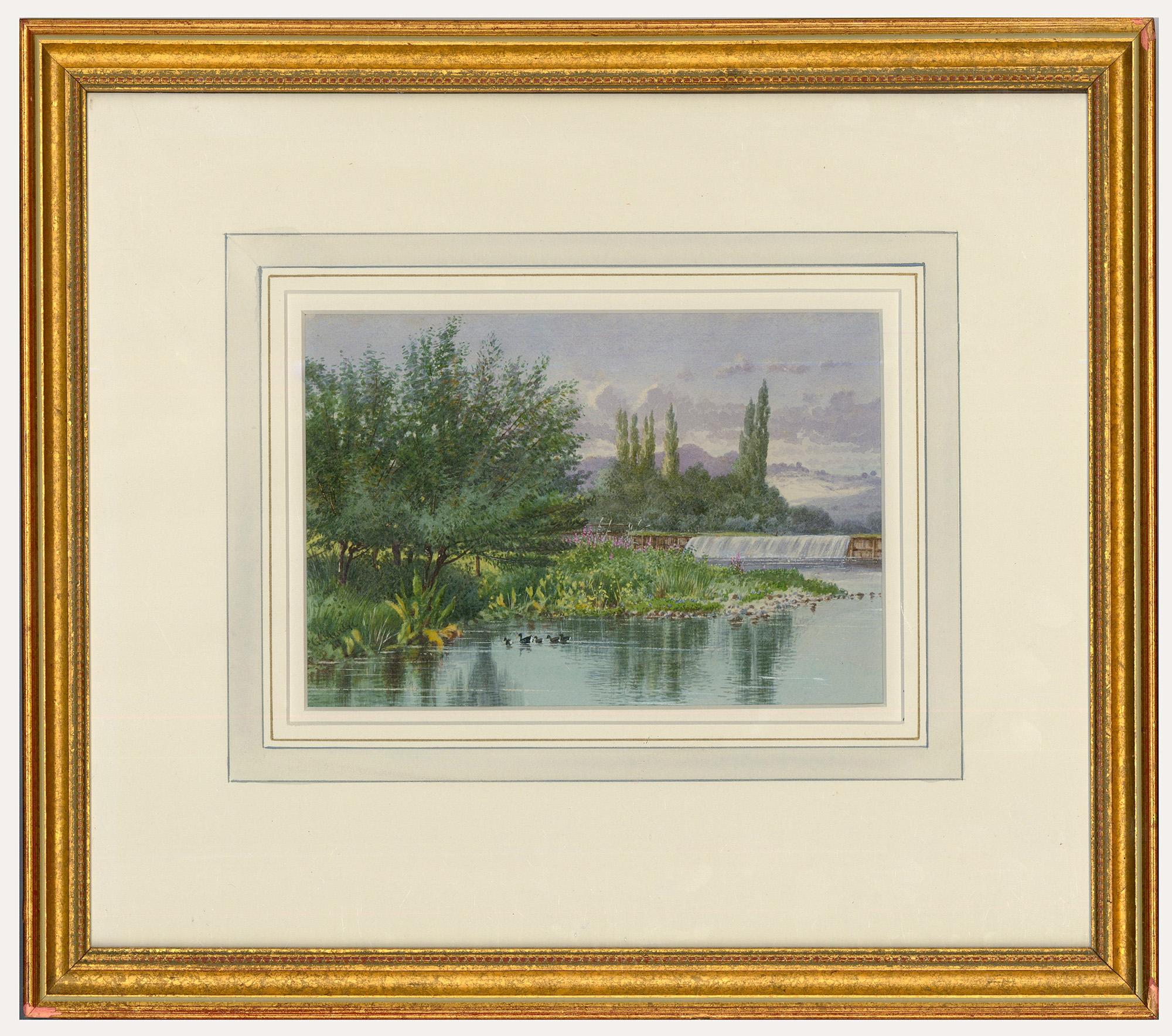 Unknown Landscape Art - Francis George Coleridge (1838-1923)- Framed Watercolour, Moorhens on the Water